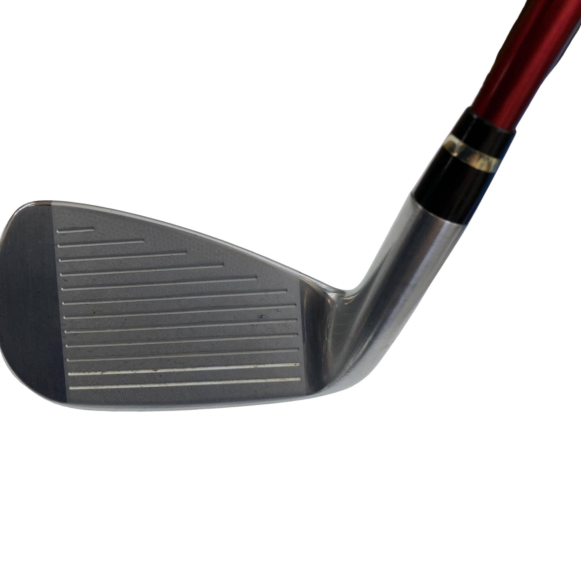 �������������@�q�l�w�@�t�c�{�Q�@�X�r�i���{���F�W�{�Z�b�g�j