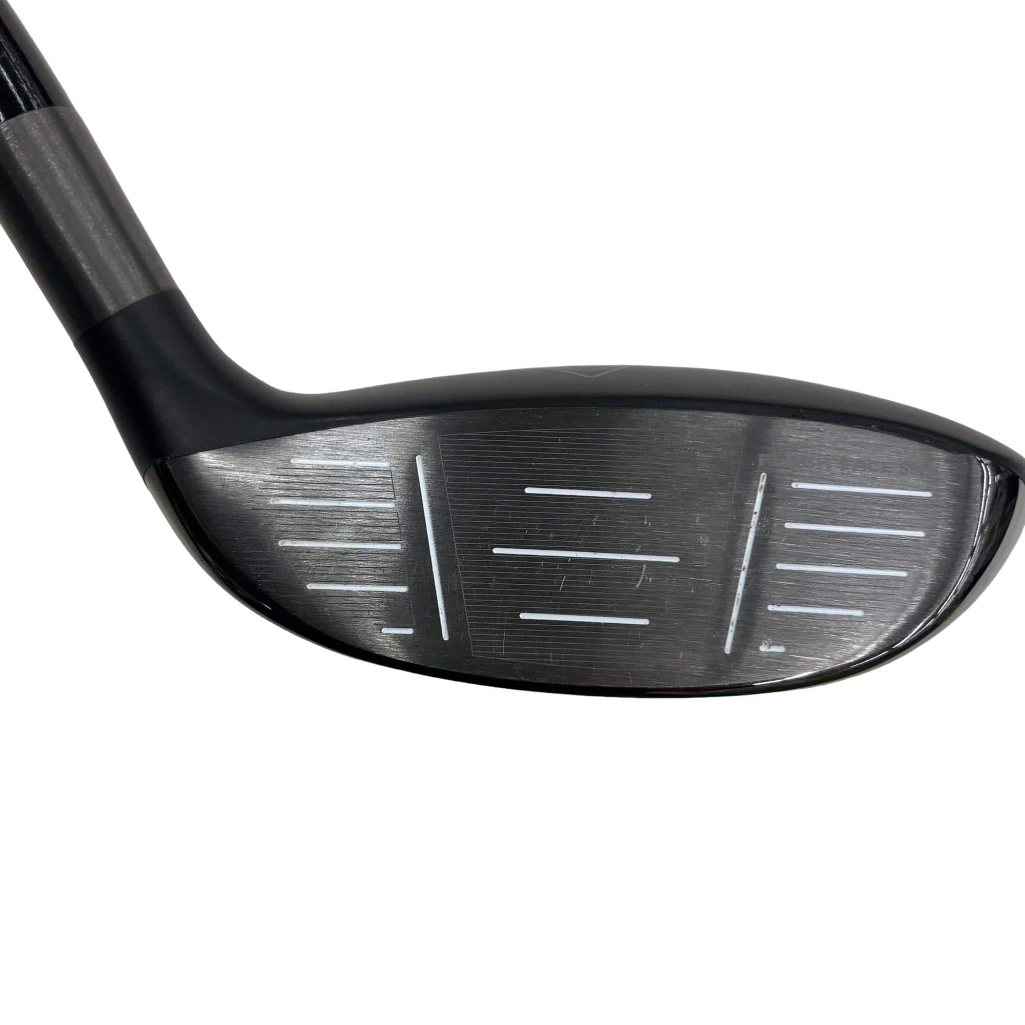 �q�n�f�t�d�@�r�s�@�l�`�w�@�@�T�v�@���t�e�B