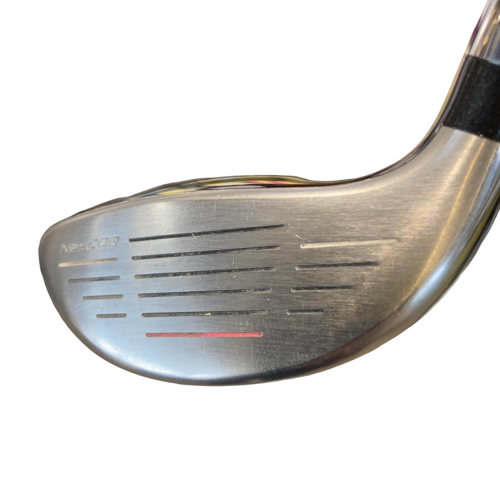 �u�q�Q�r�@���[�e�B���e�B�@�t�S