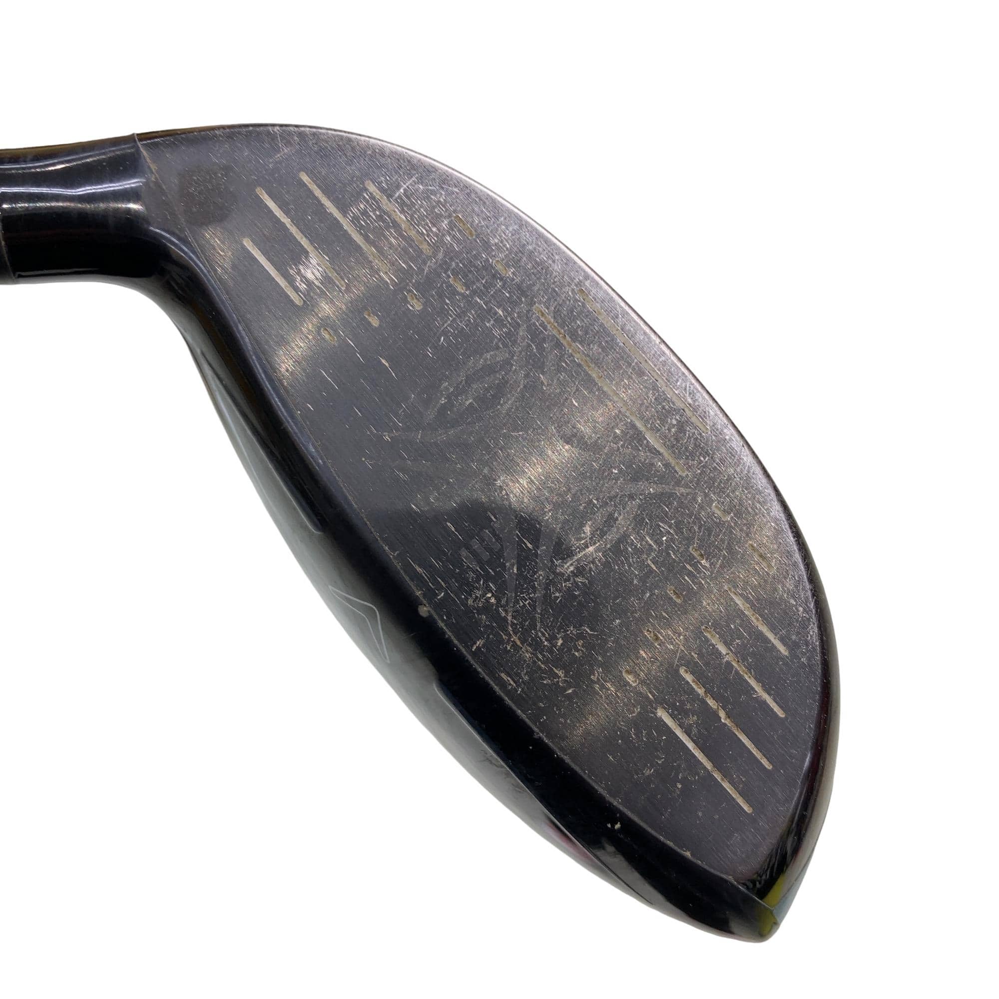 �q�n�f�t�d�@�r�s�`�q�@�T�v�@���f�B�[�X