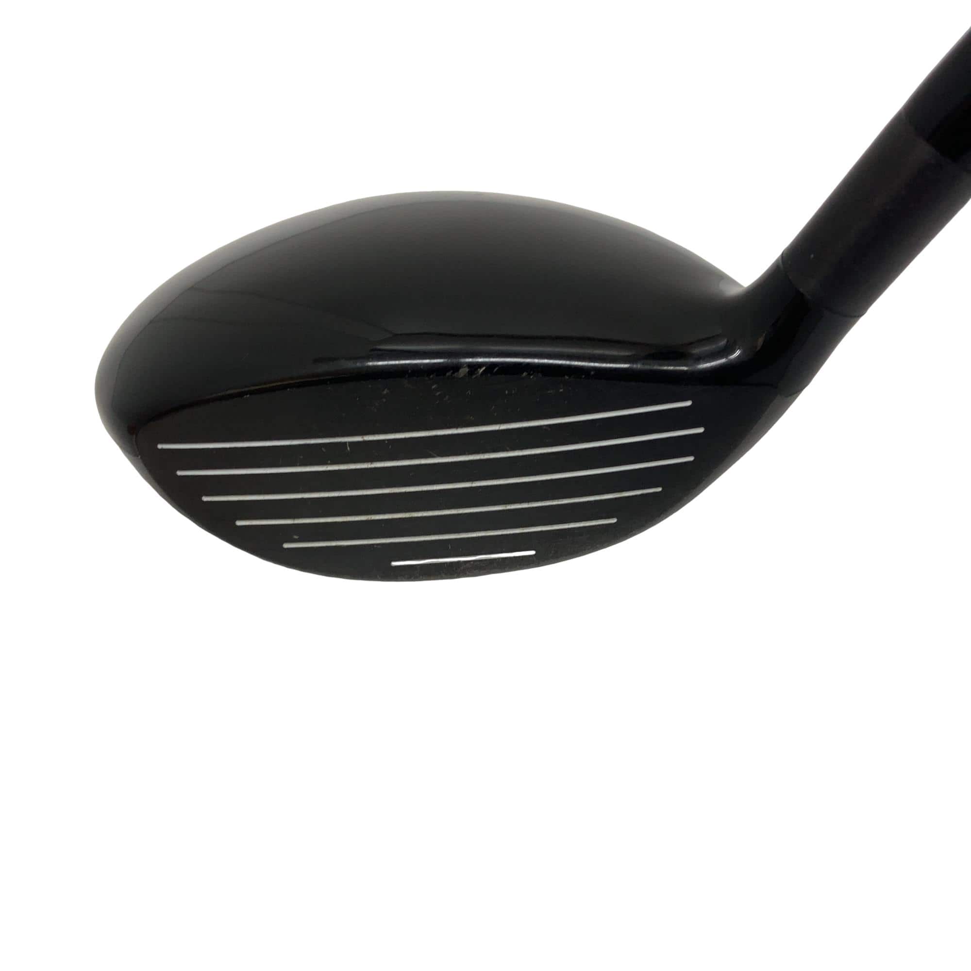 �w�Q�@�g�n�s�@�o�q�n�@�P�T°