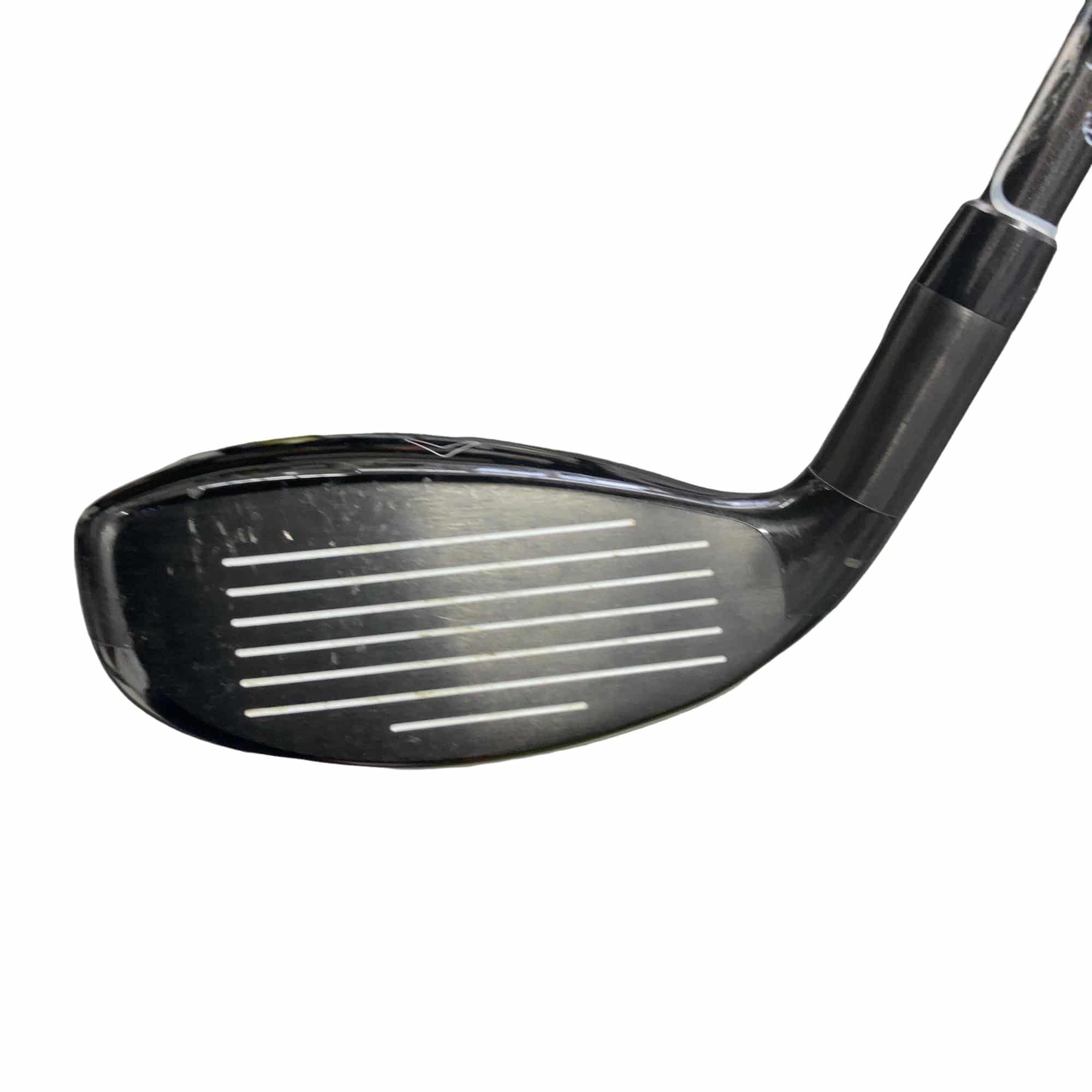 �w�Q�@�g�n�s�@�t�T