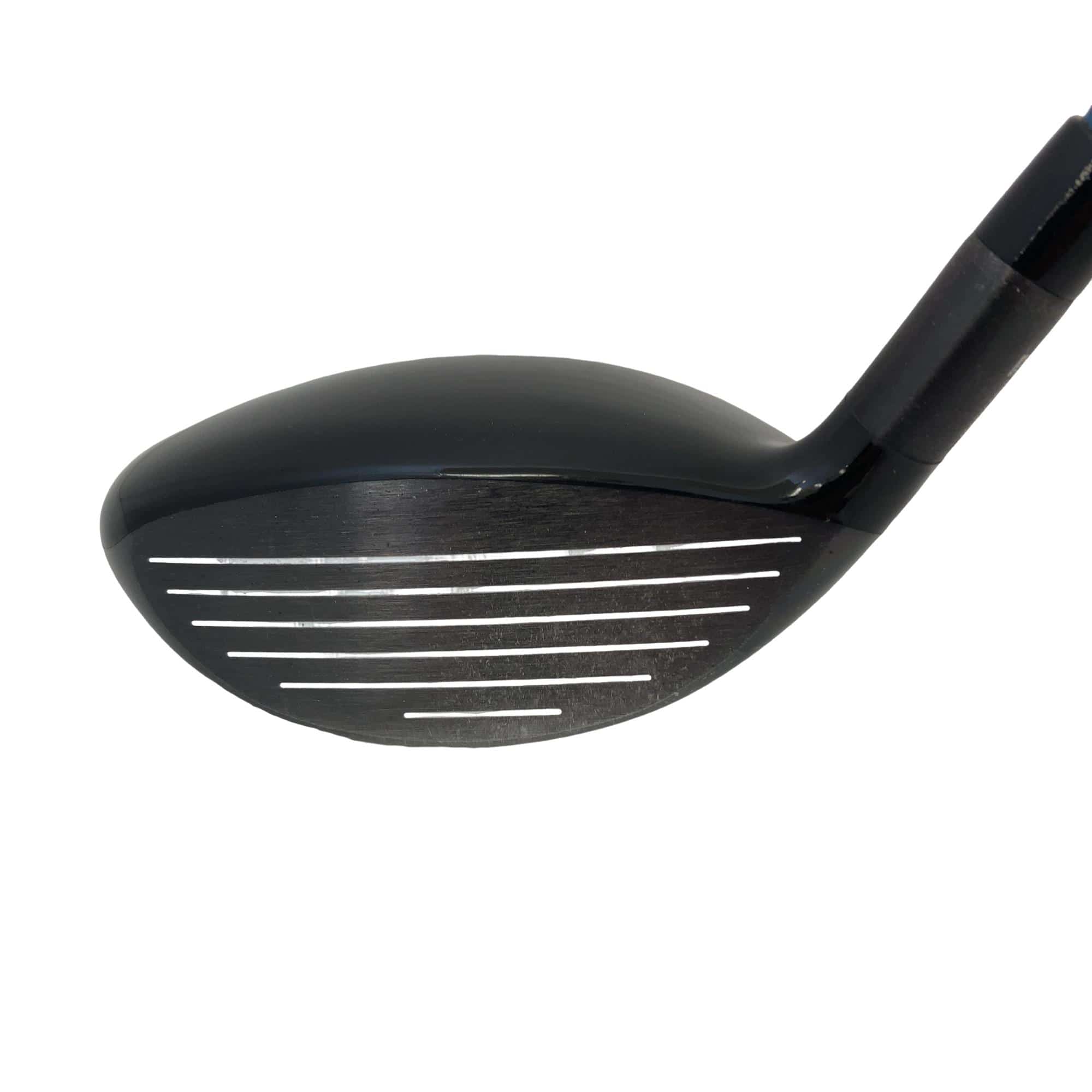 �w�@�g�n�s�@�o�q�n�@�P�T°