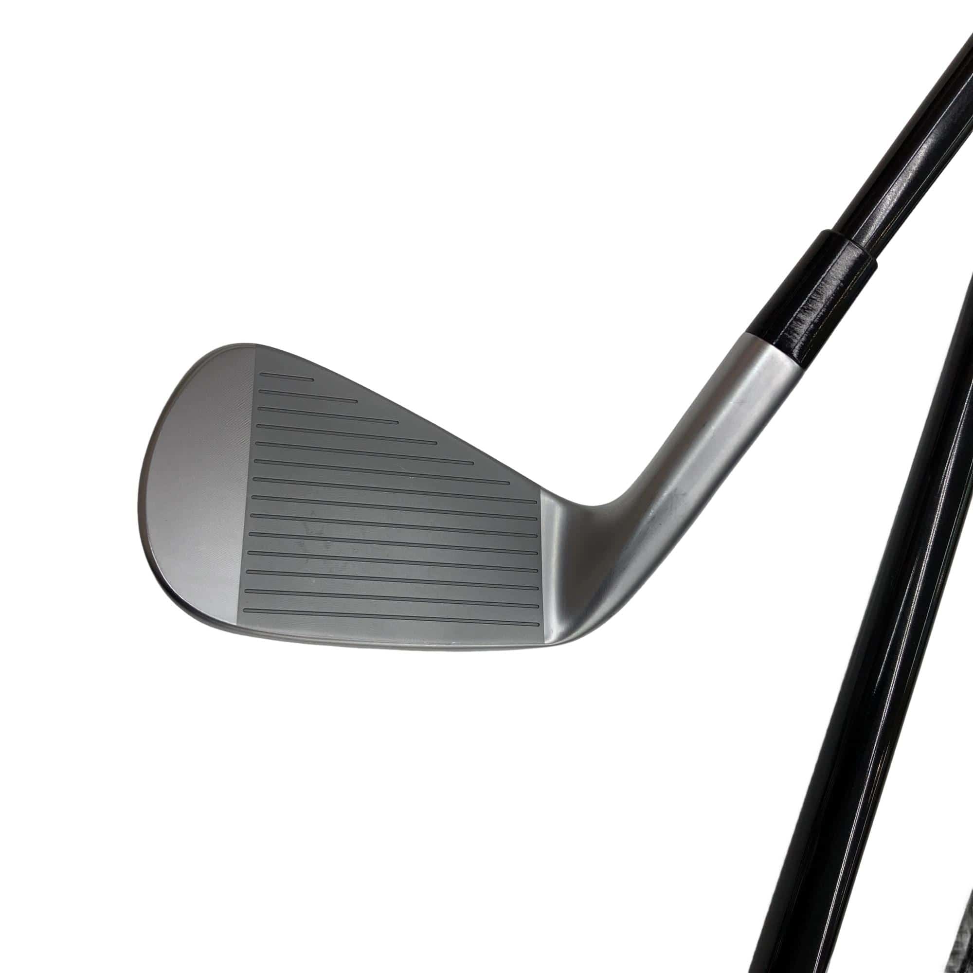 �s�����������@�l�������@�o�E�V�l�b�i�Q�O�Q�R�j�@�U�r�i���{���F�U�{�Z�b�g�j