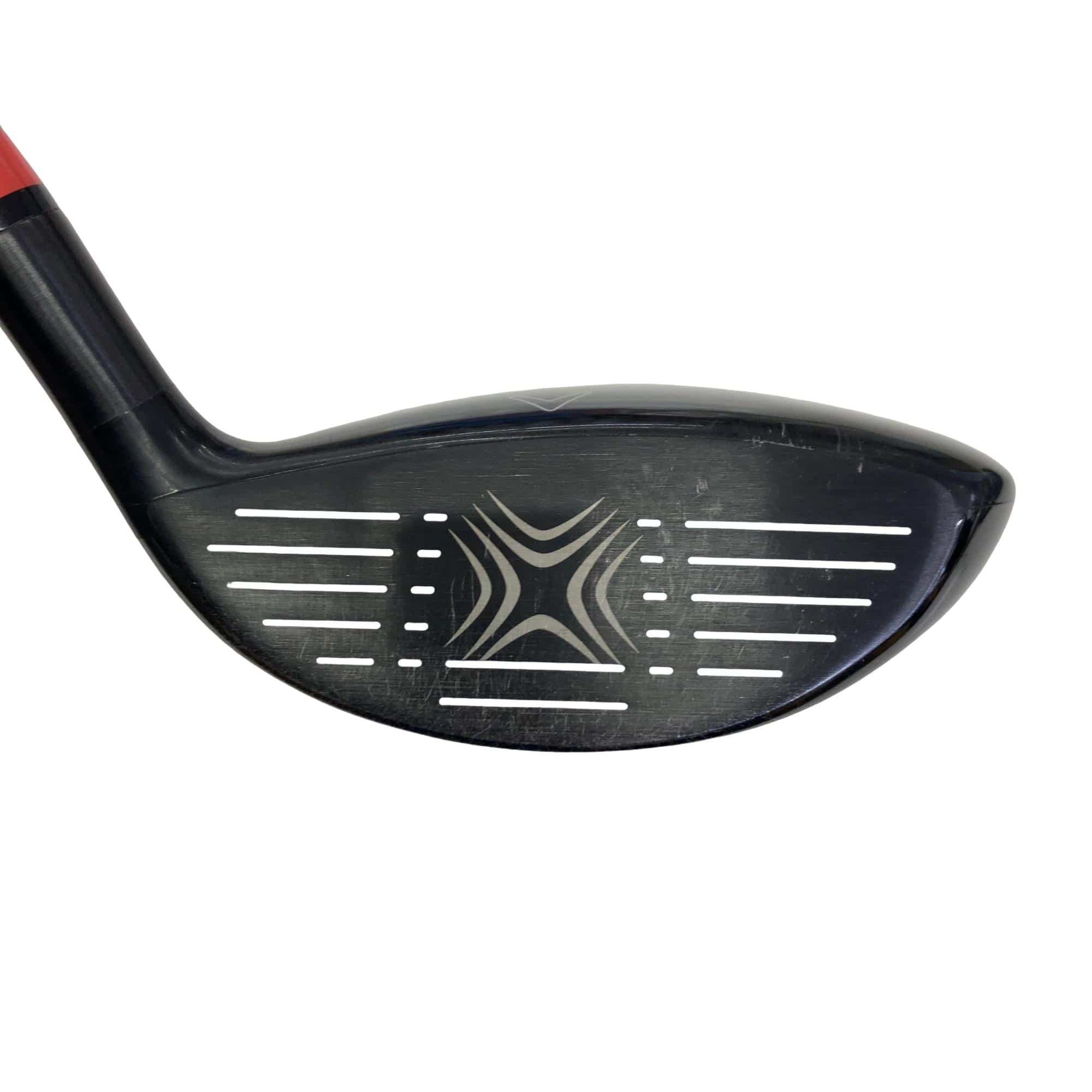 �w�Q�@�g�n�s�@�@�T�v�@���t�e�B