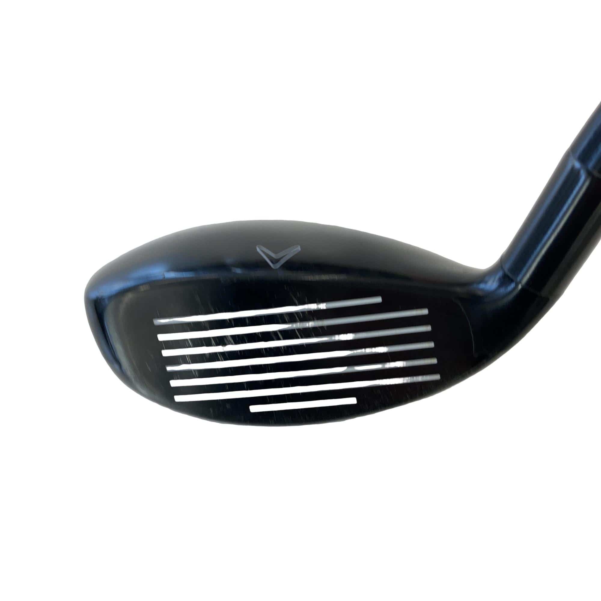 �w�Q�@�g�n�s�@�t�S