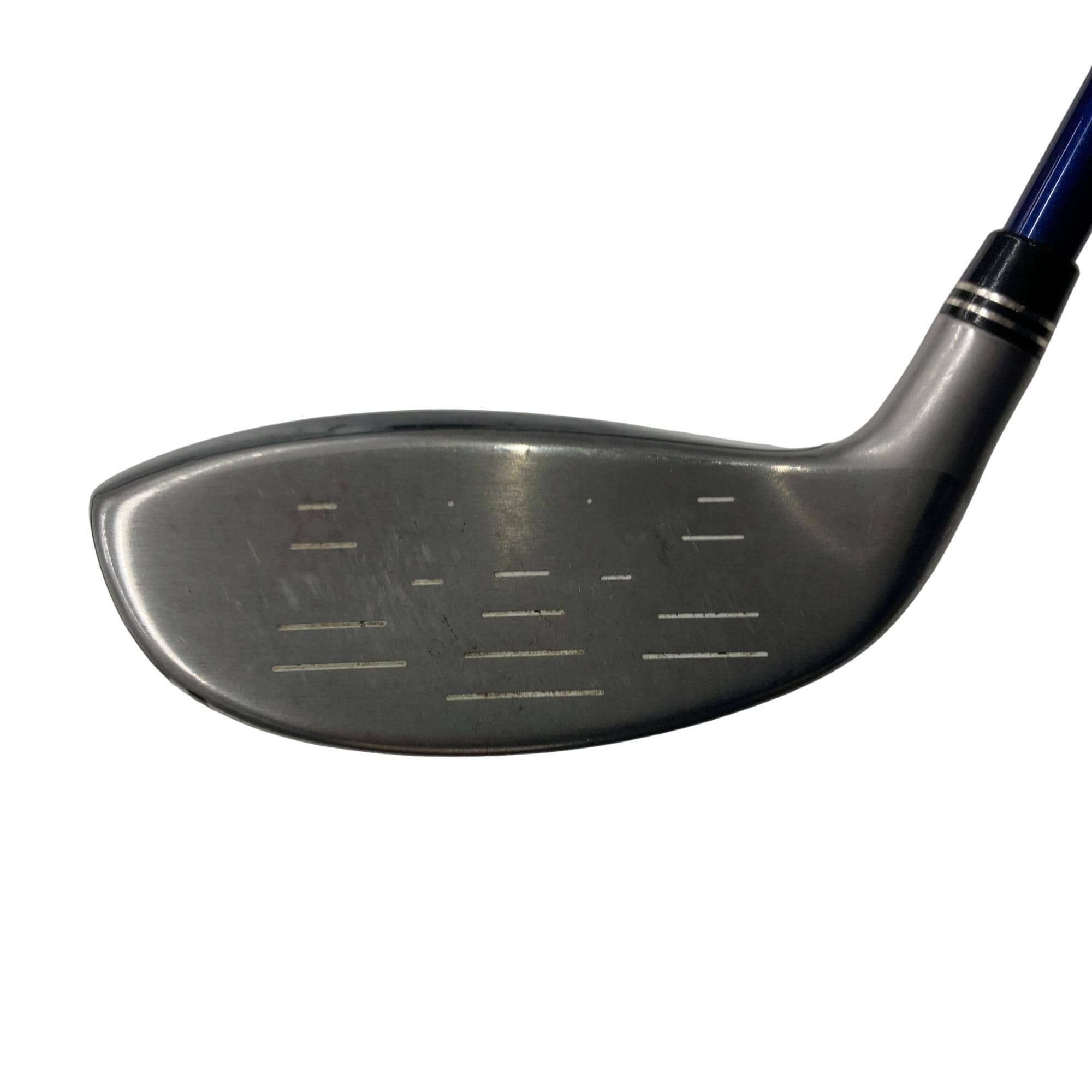 �w�w�h�n�i�Q�O�P�U�j�@�t�U�@���f�B�[�X