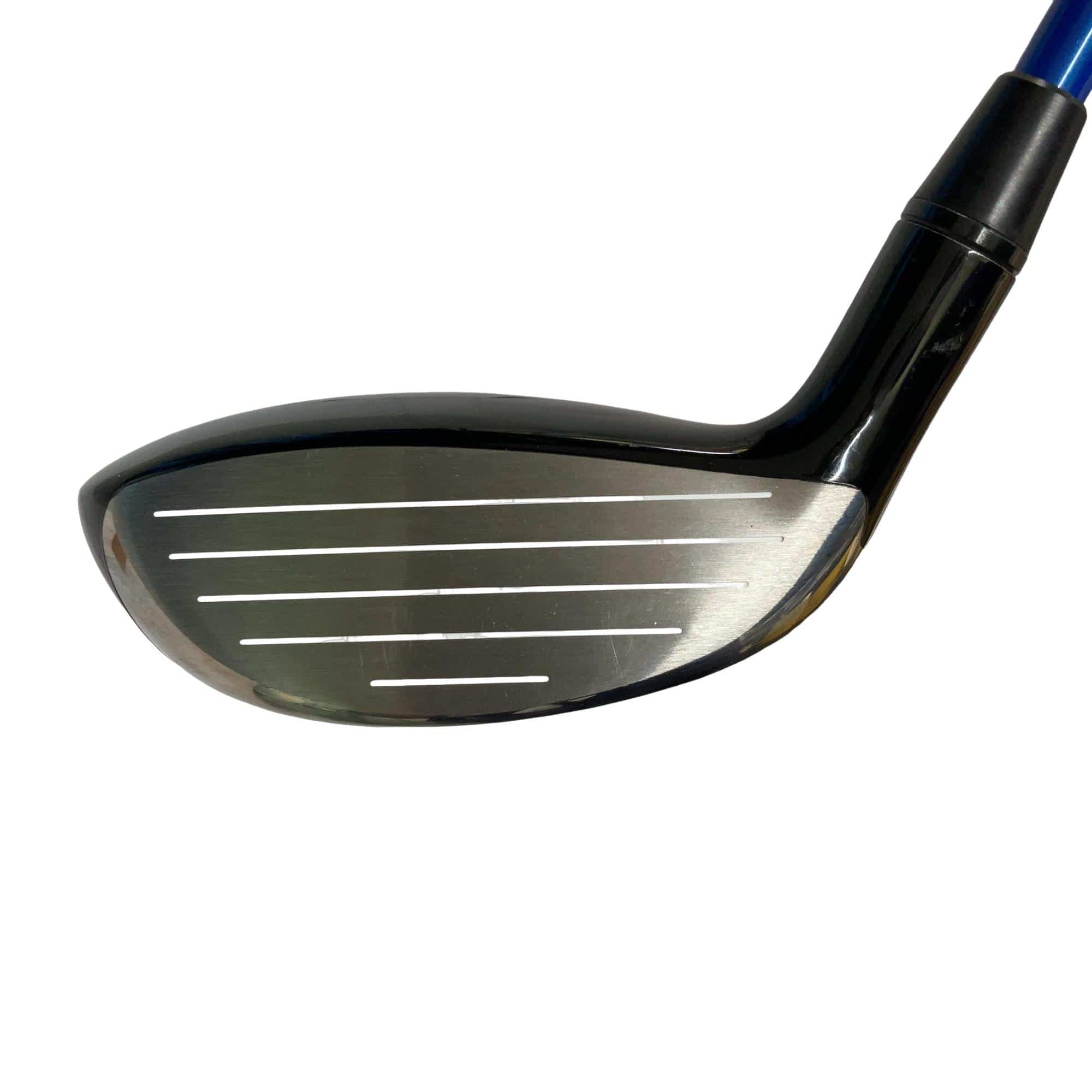 �s�n�t�q�@�v�n�q�k�c�@�s�q�Q�P�@�T�v