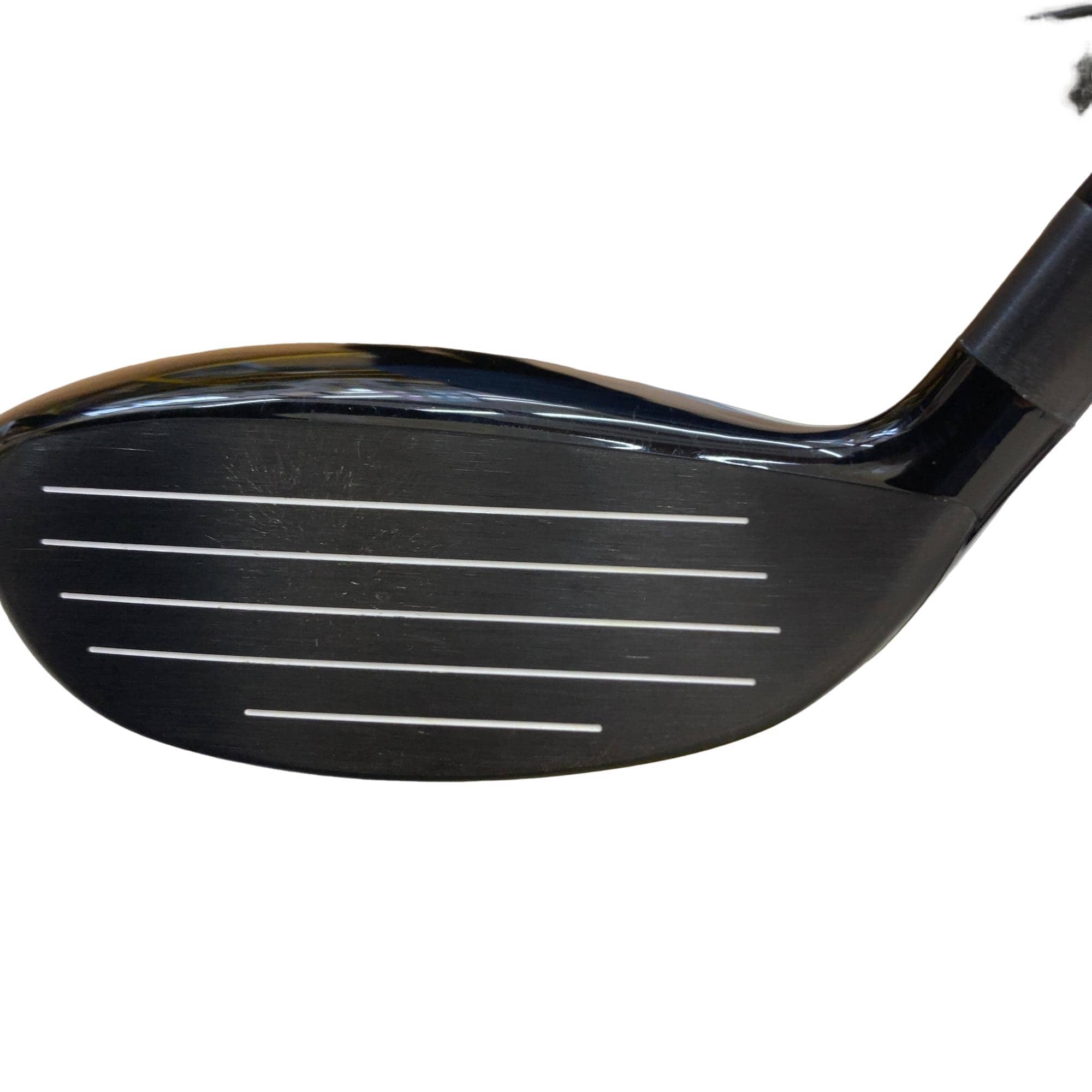 �s�n�t�q�@�v�n�q�k�c�@�s�v�V�T�V�@�t�T