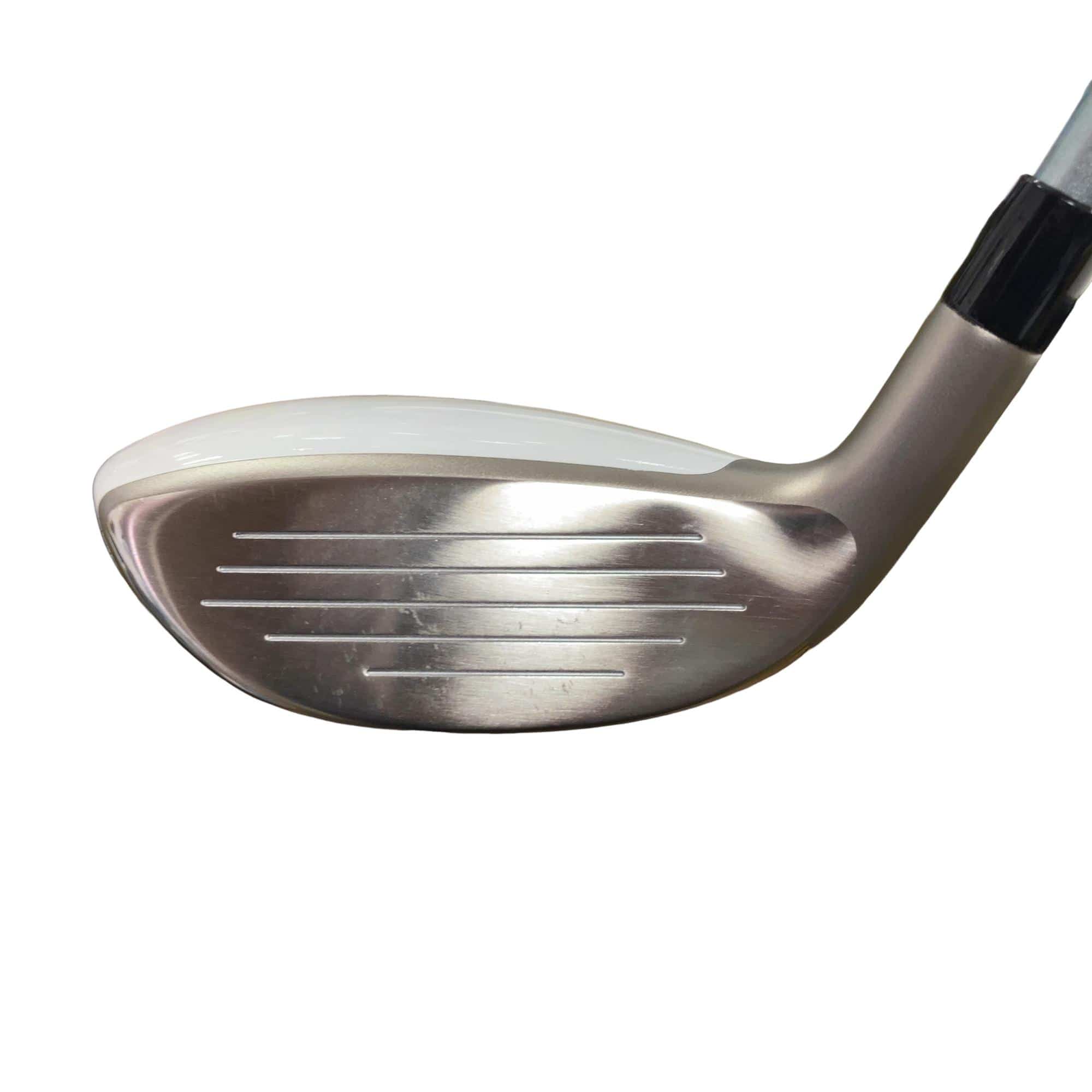 �a�q�|�w�@�t�T�@���f�B�[�X