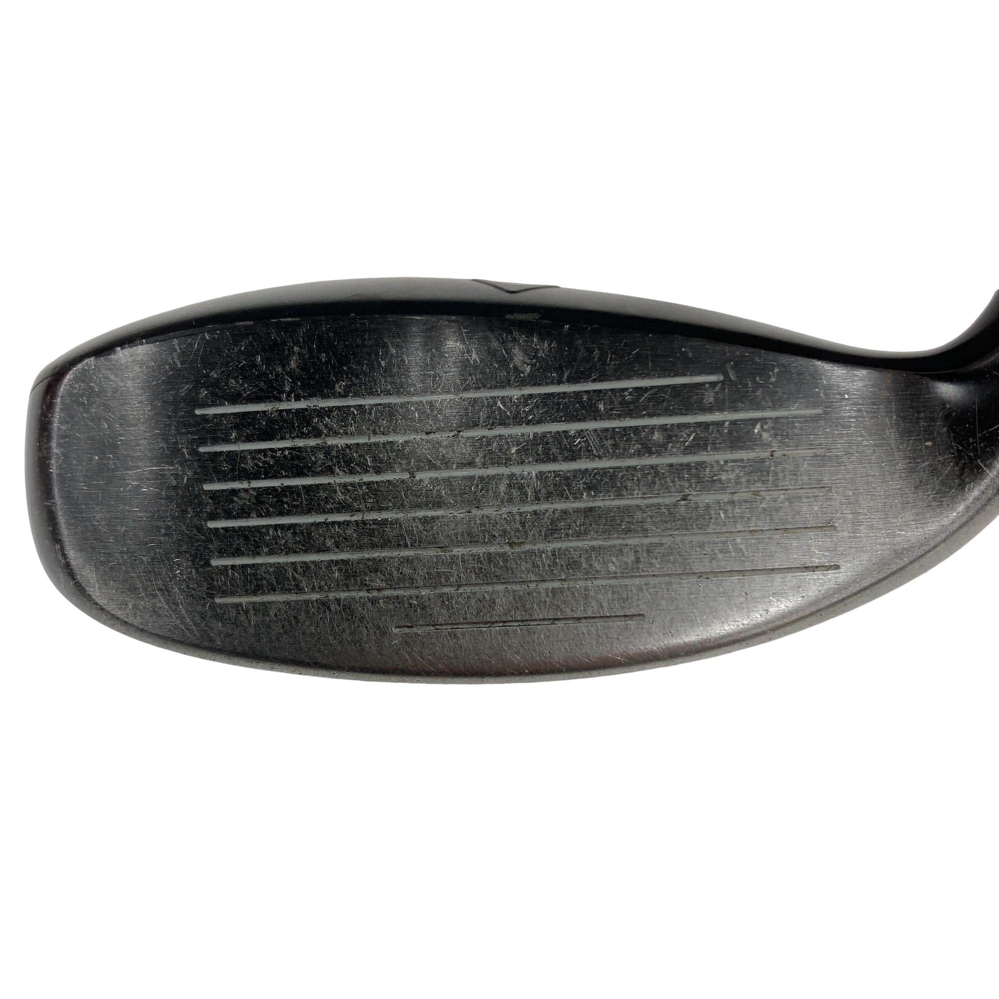 �w�q�@�P�U�@�n�r�@�t�R