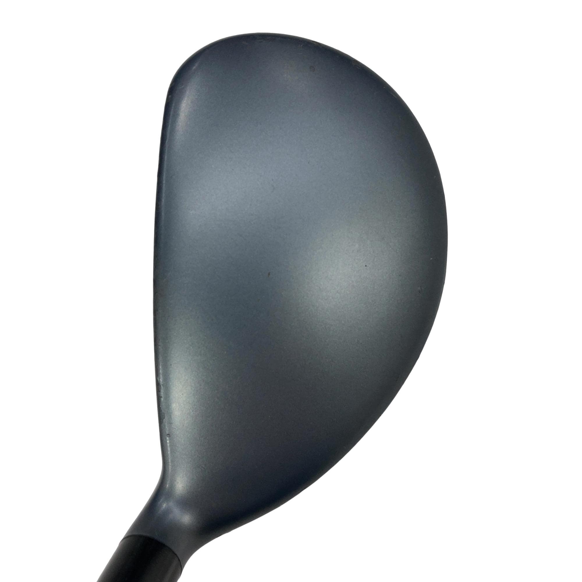 �w�@�g�n�s�@�t�S