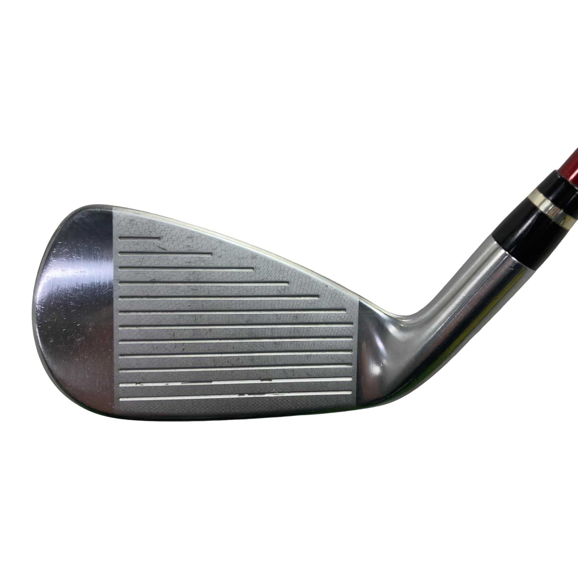 �������������@�q�l�w�@�t�c�{�Q�@�V�r�i���{���F�T�{�Z�b�g�j