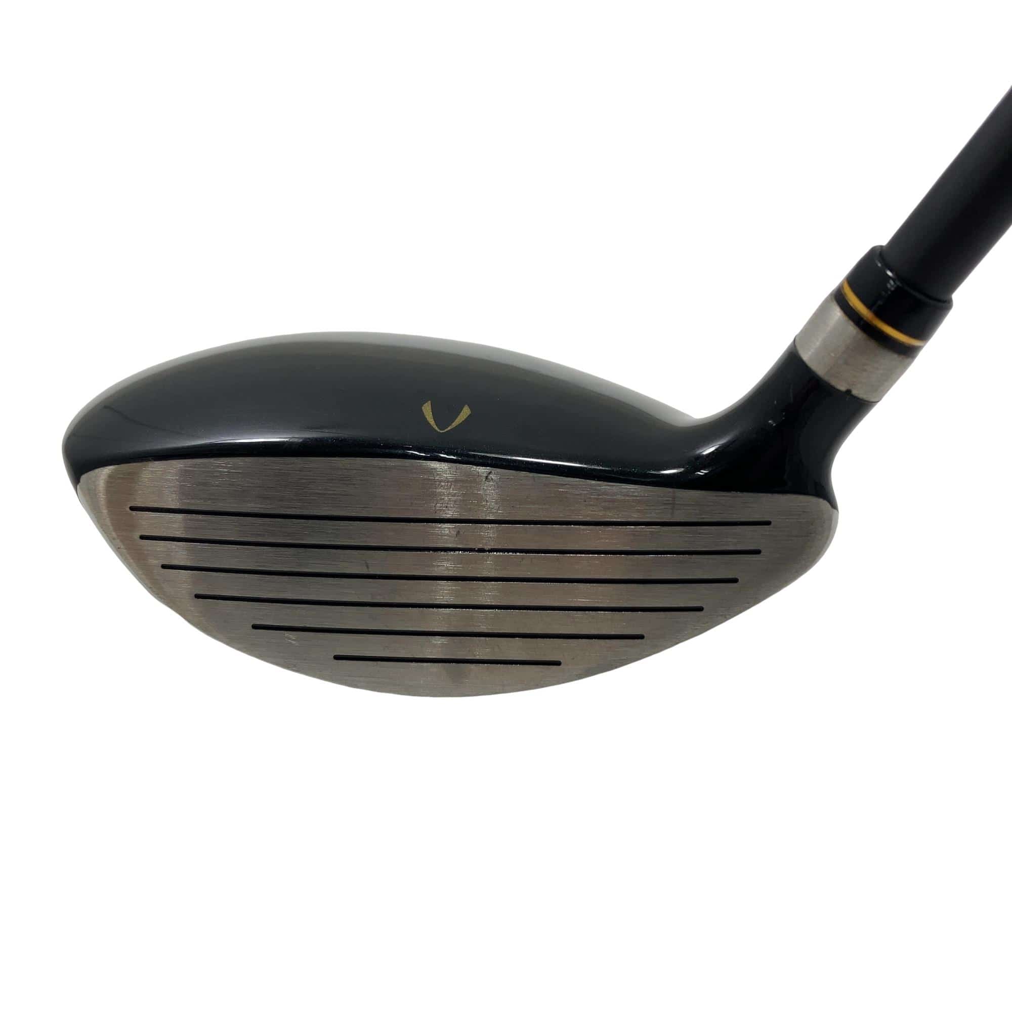 �j�Q�j�@���������O�X���[�e�B���e�B�@�t�T