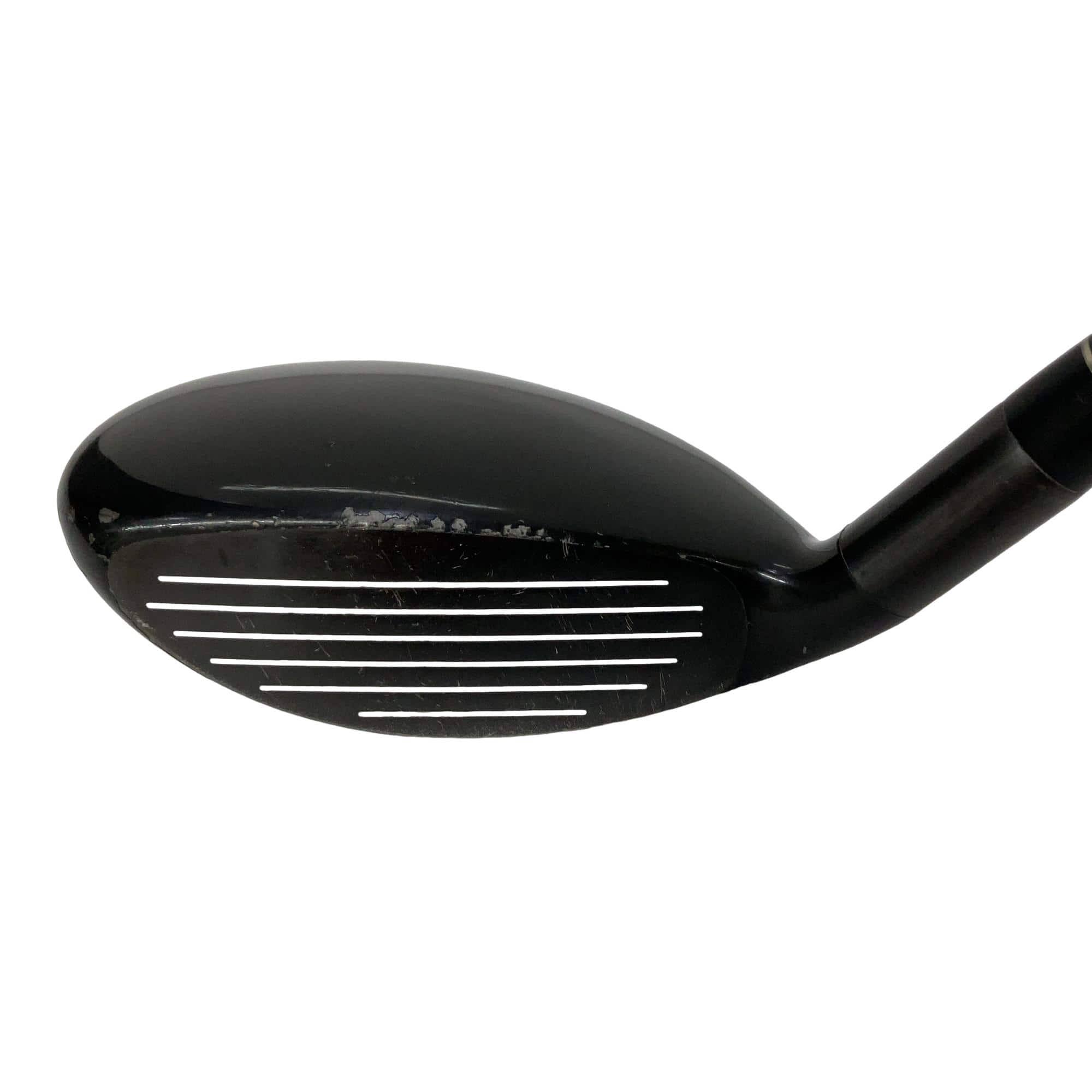 �w�@�g�n�s�@�t�S