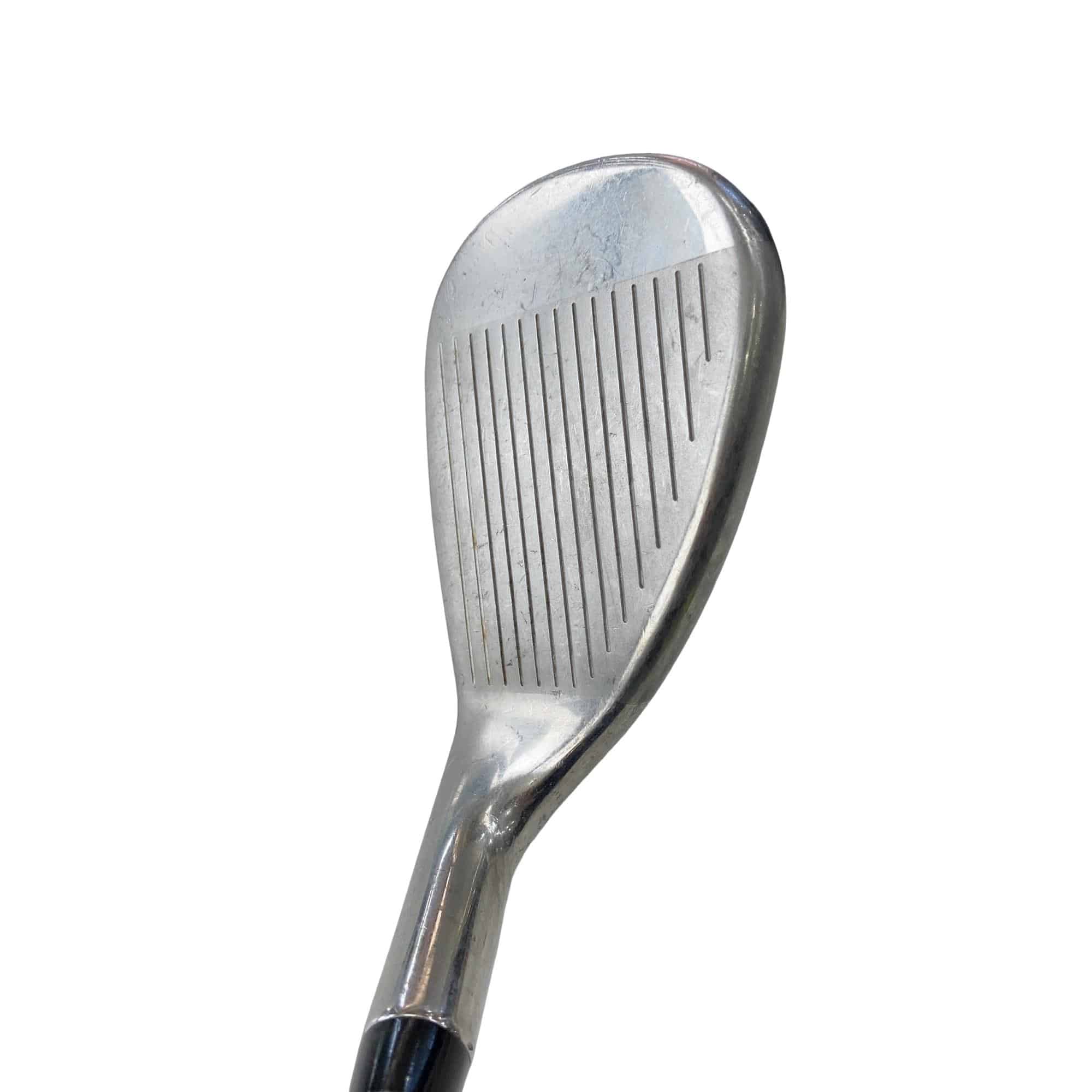 �w�Q�@�g�n�s�@�r�v