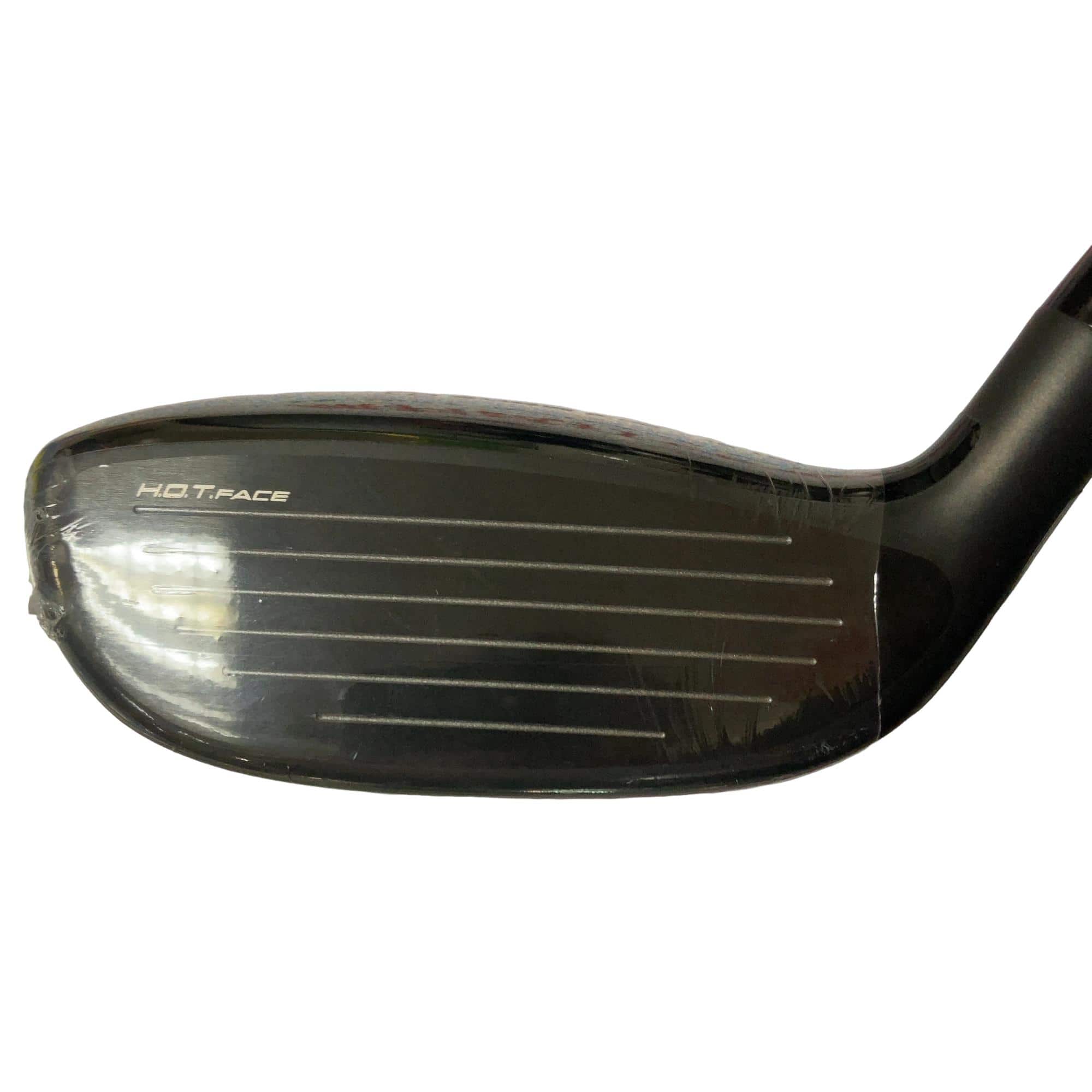 �����������@�`�d�q�n�i�d�s�@�t�T�@���f�B�[�X