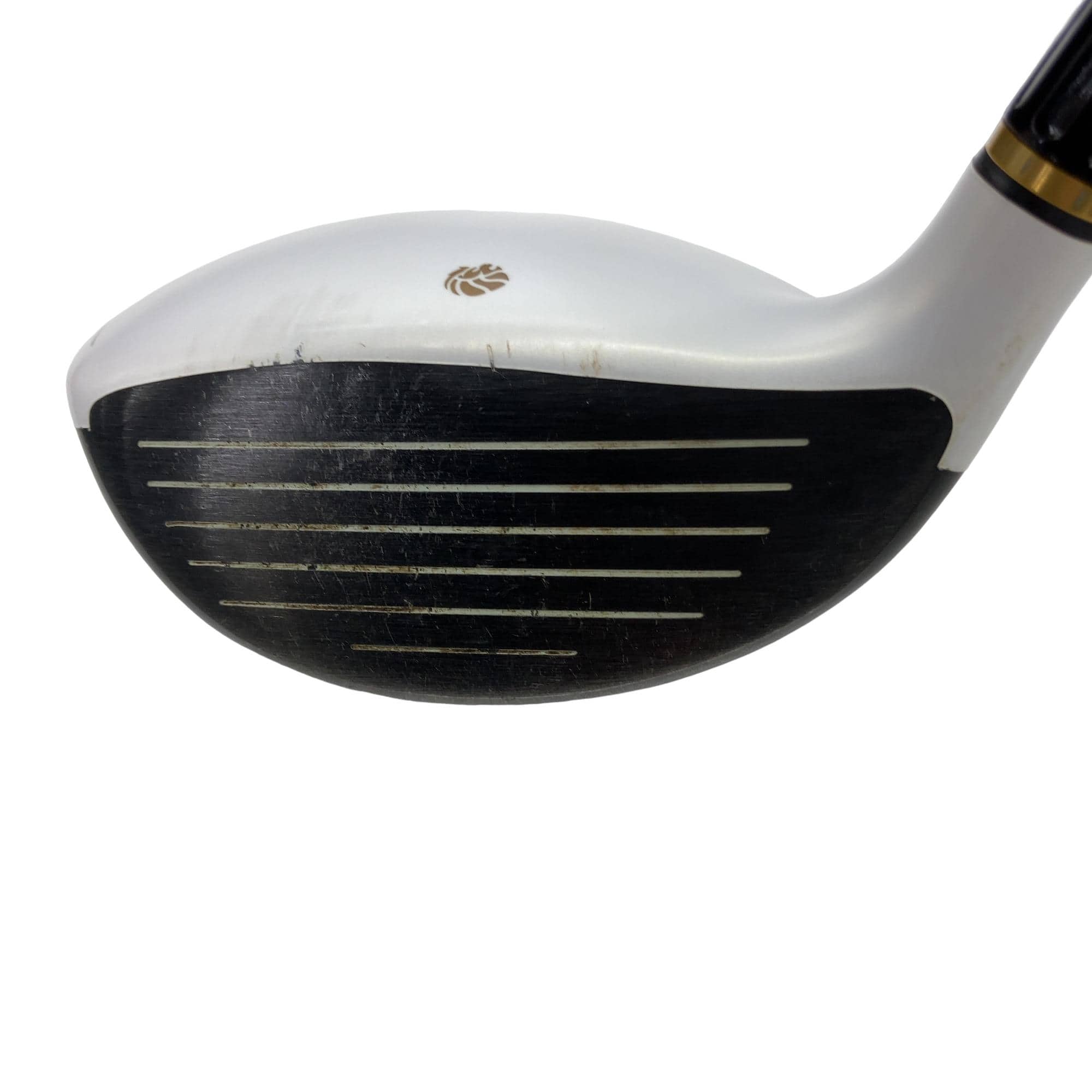 �f�k�n�h�q�d�@�V�v