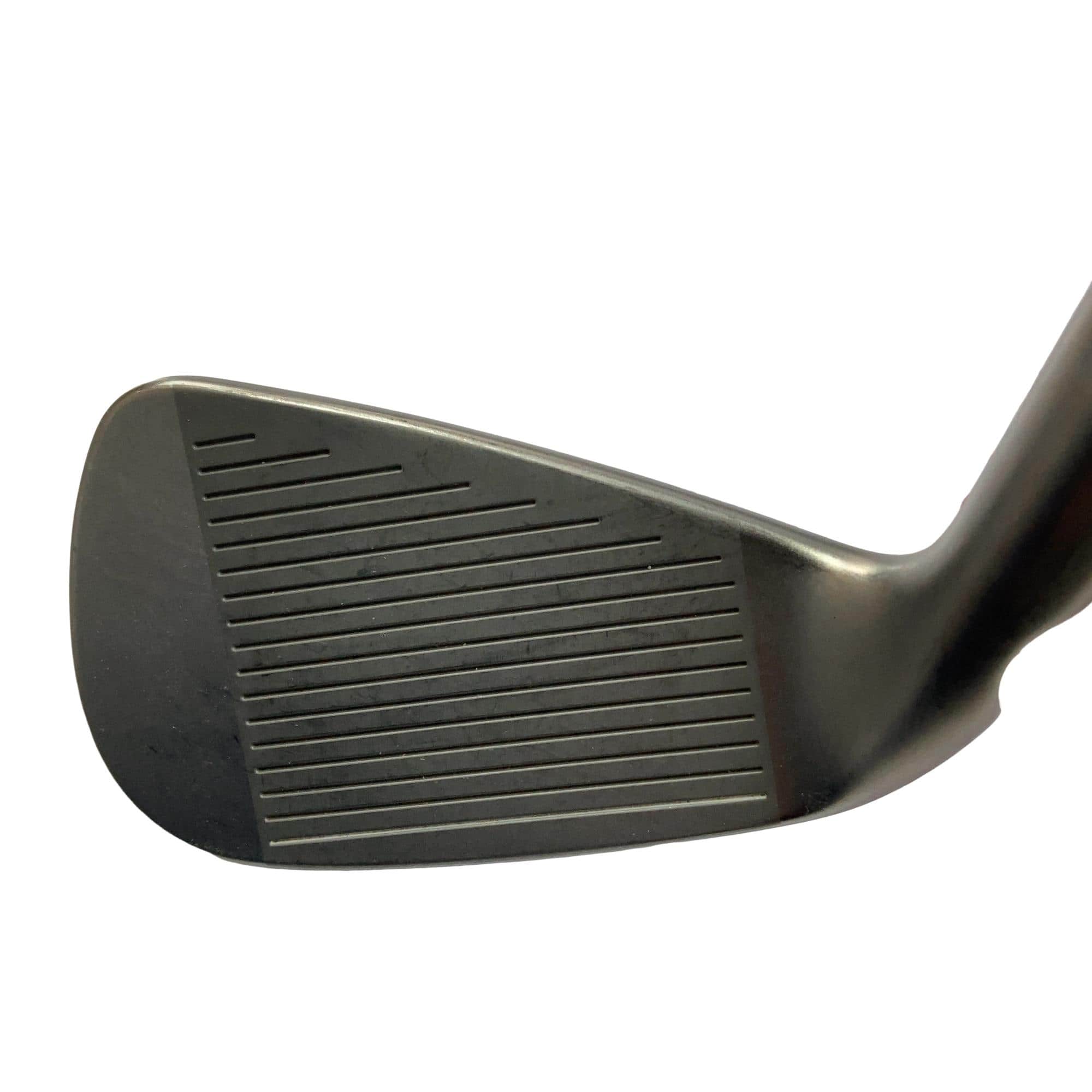 ���T�R�O�@�T�r�i���{���F�T�{�Z�b�g�j