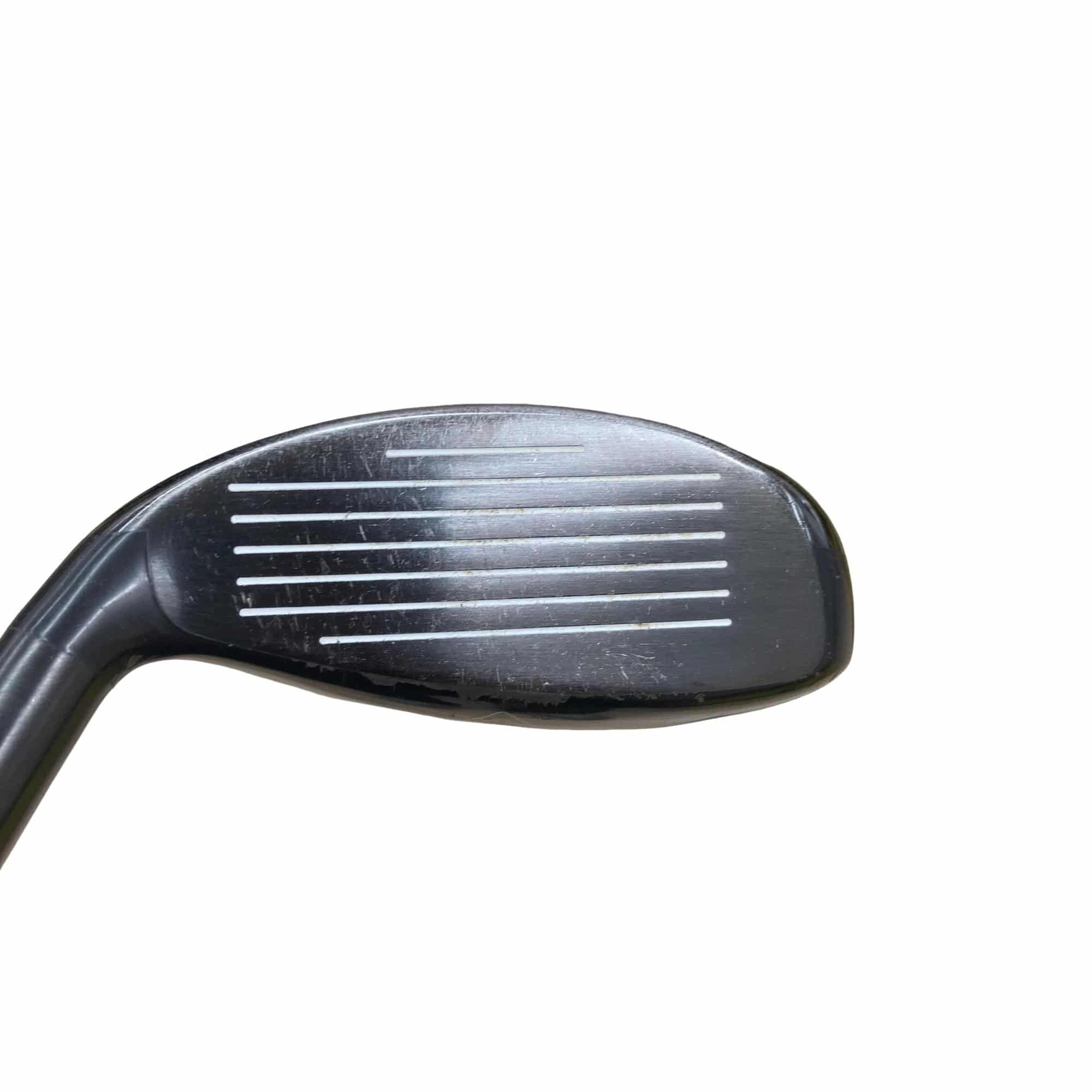 �w�Q�@�g�n�s�@�t�T