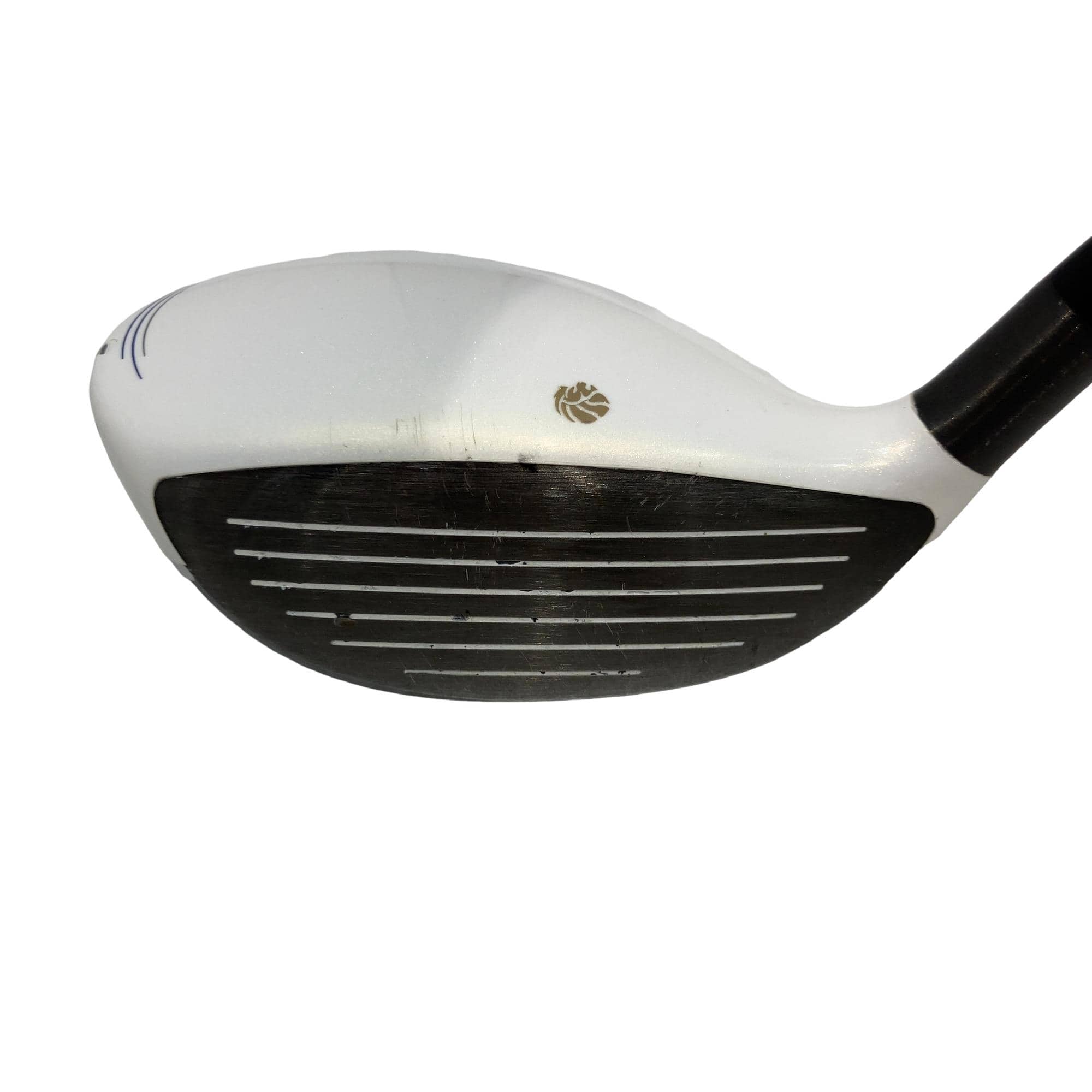 �f�k�n�h�q�d�@�e�i�Q�O�P�U�j�@�R�v