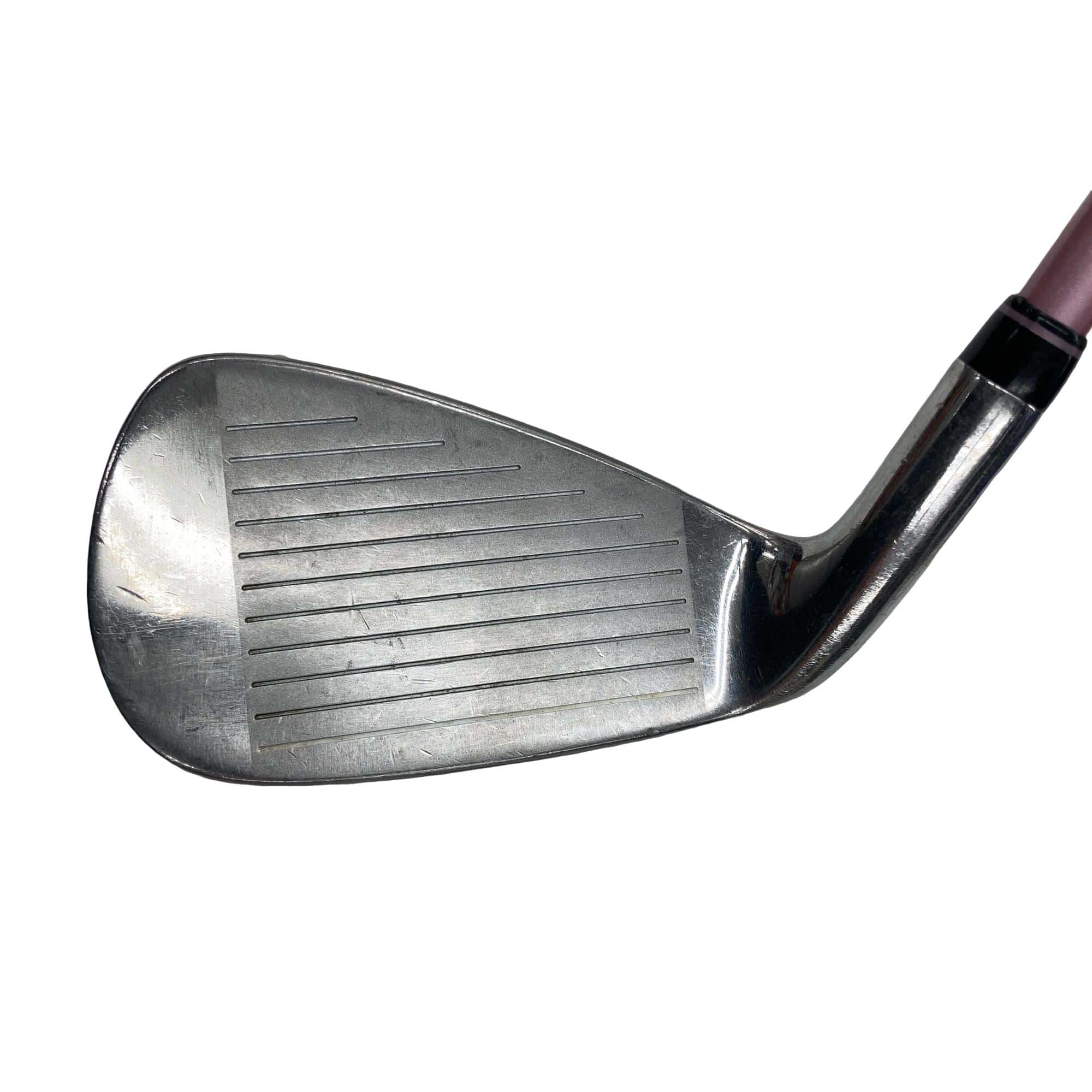 �o���������������@�b�k�i�Q�O�O�X�j�@�T�r�@���f�B�[�X�i���{���F�S�{�Z�b�g�j