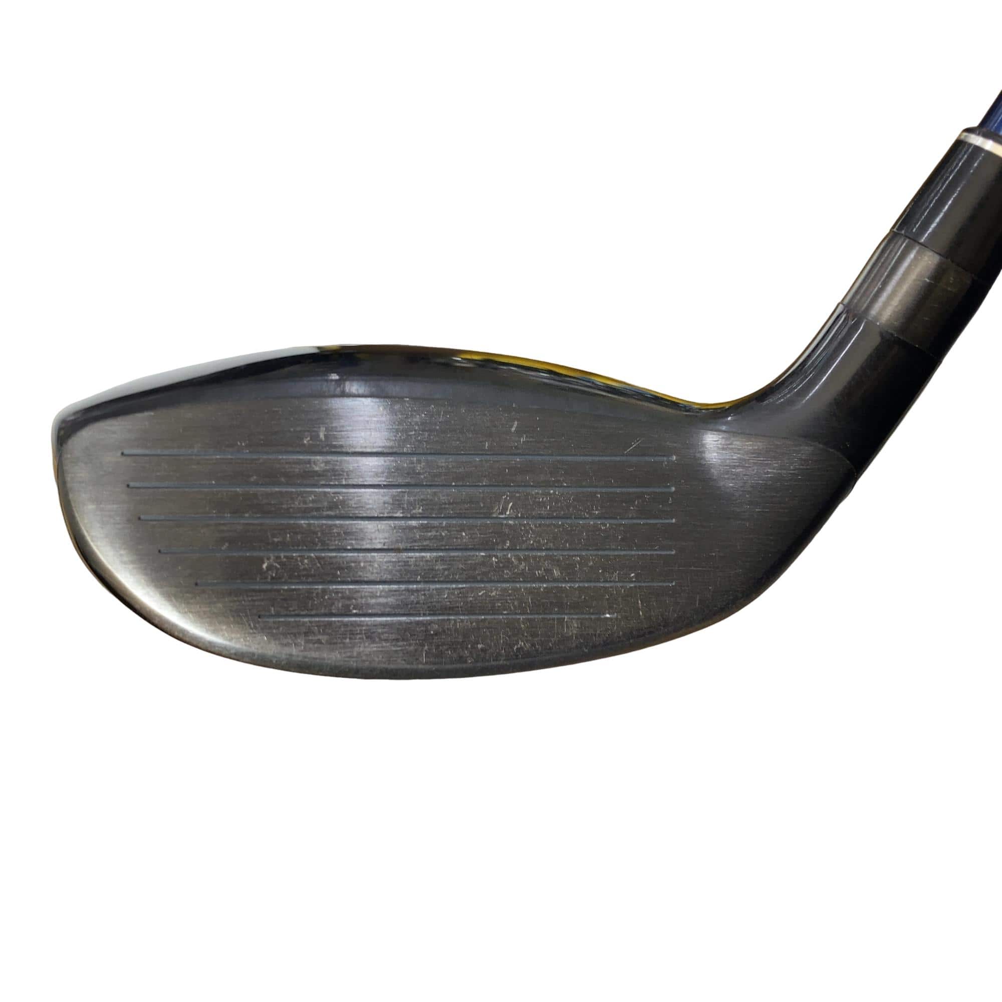 �r�q�h�w�n�m�@�y�w�@�g�@�t�T