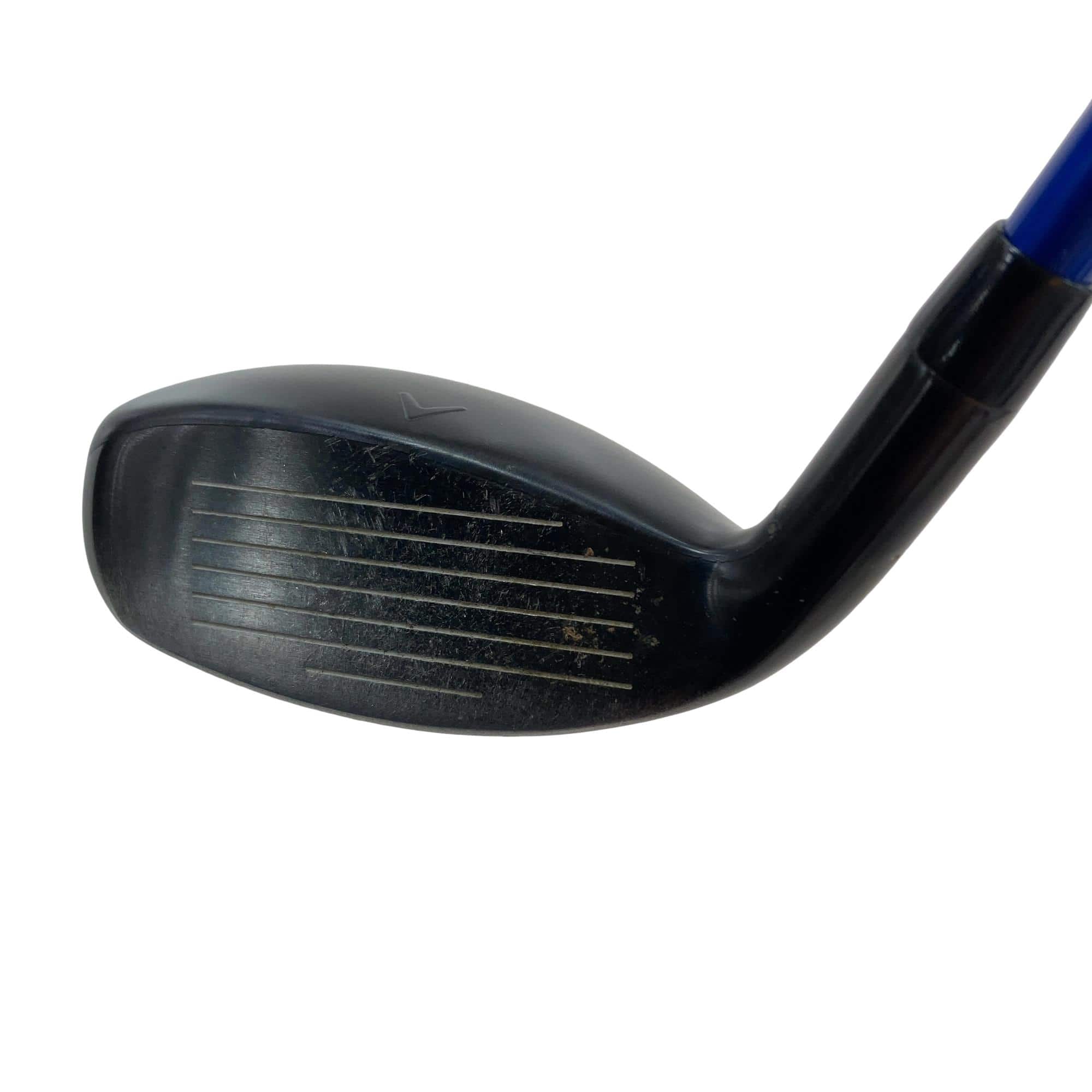 �w�q�@�P�U�@�n�r�@�t�T�@���f�B�[�X