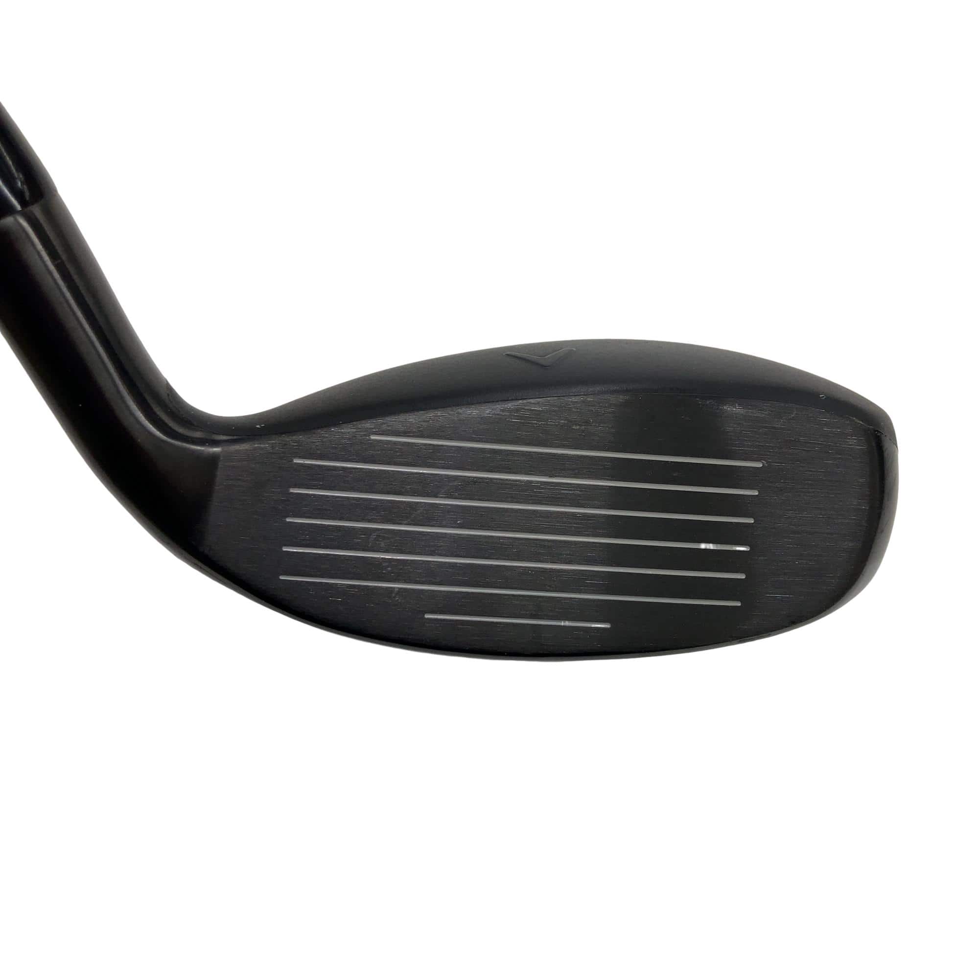 �w�q�@�P�U�@�n�r�@�t�R�@���t�e�B