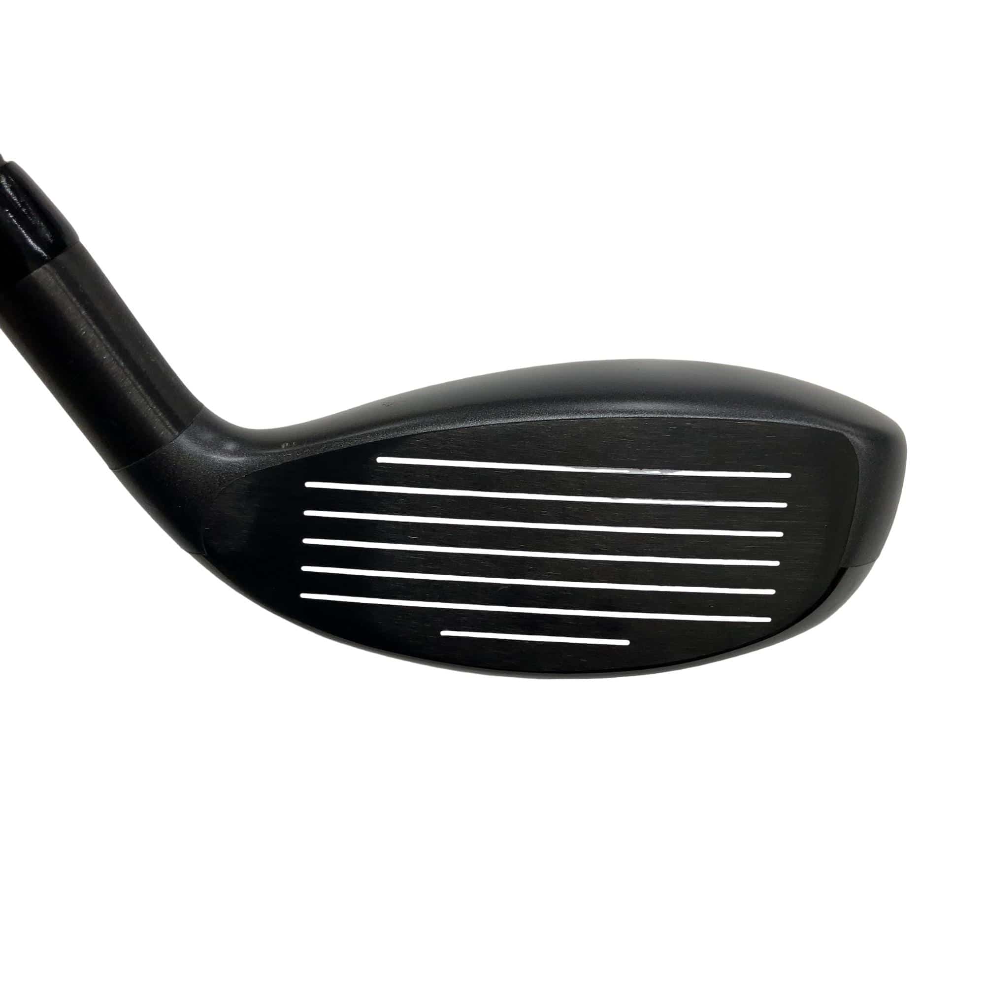 �w�Q�@�g�n�s�@�o�q�n�@�P�W°�@���t�e�B�@�t�r�`