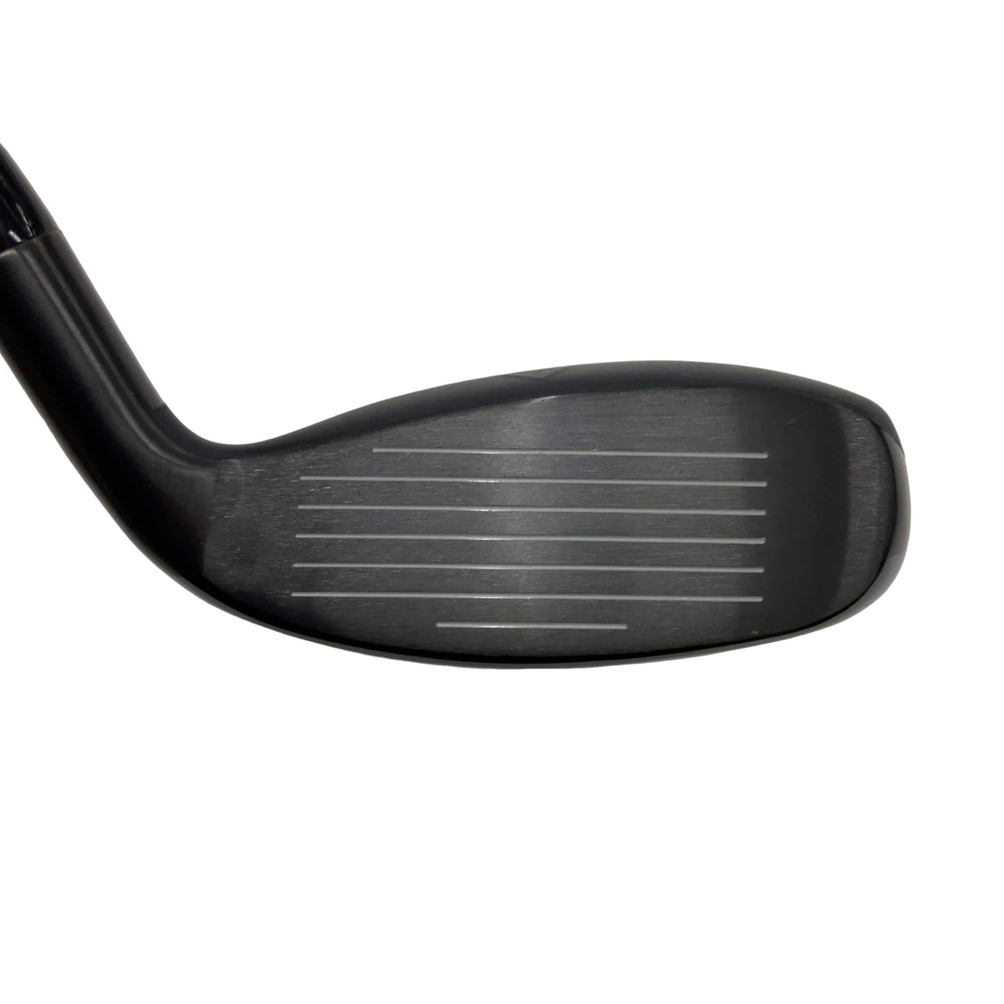 �w�q�@�P�U�@�n�r�@�t�S�@���t�e�B