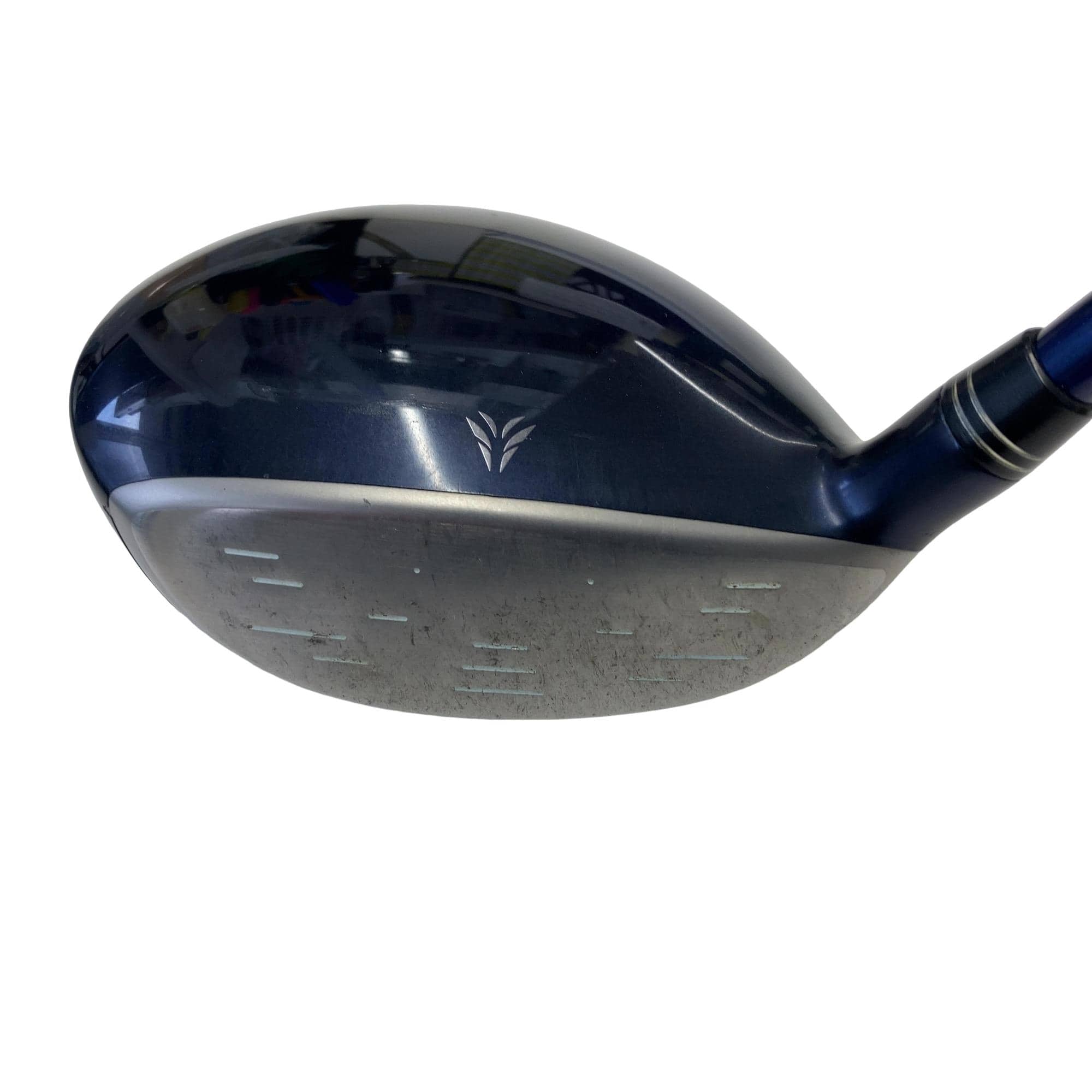 �w�w�h�n�i�Q�O�P�U�j�@�T�v�@���f�B�[�X