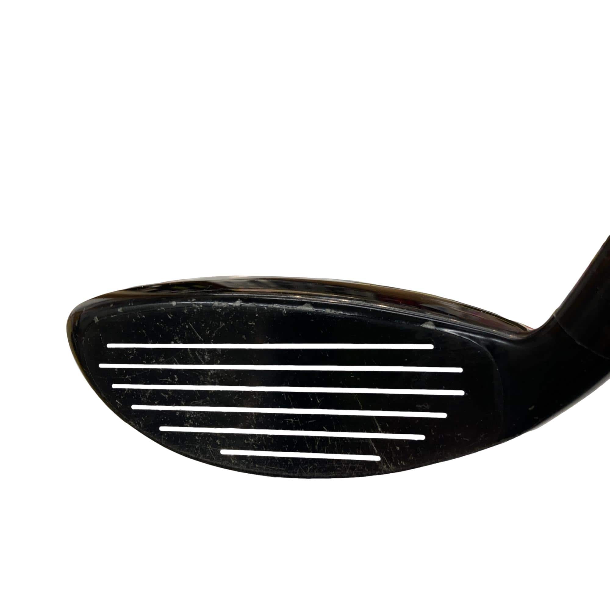 �w�@�g�n�s�@�t�S