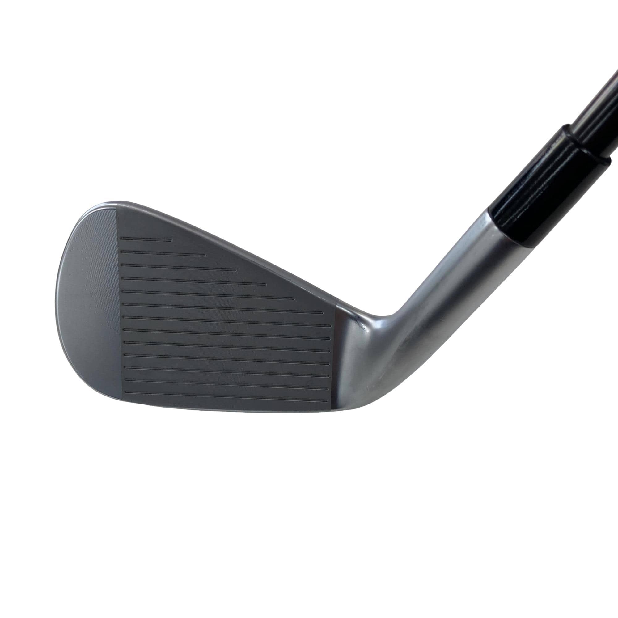 �s�����������@�l�������@�o�E�V�l�b�i�Q�O�Q�R�j�@�U�r�i���{���F�U�{�Z�b�g�j