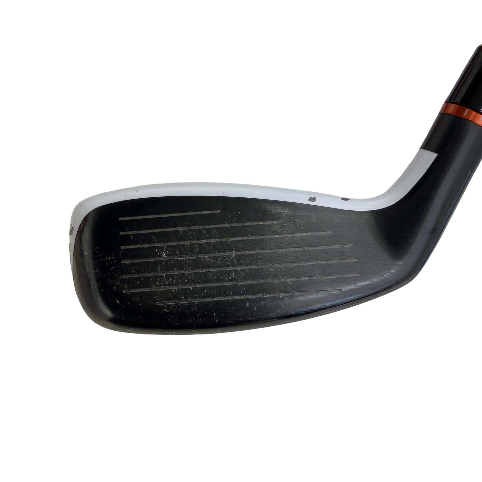 �q�P�T�@�t�R