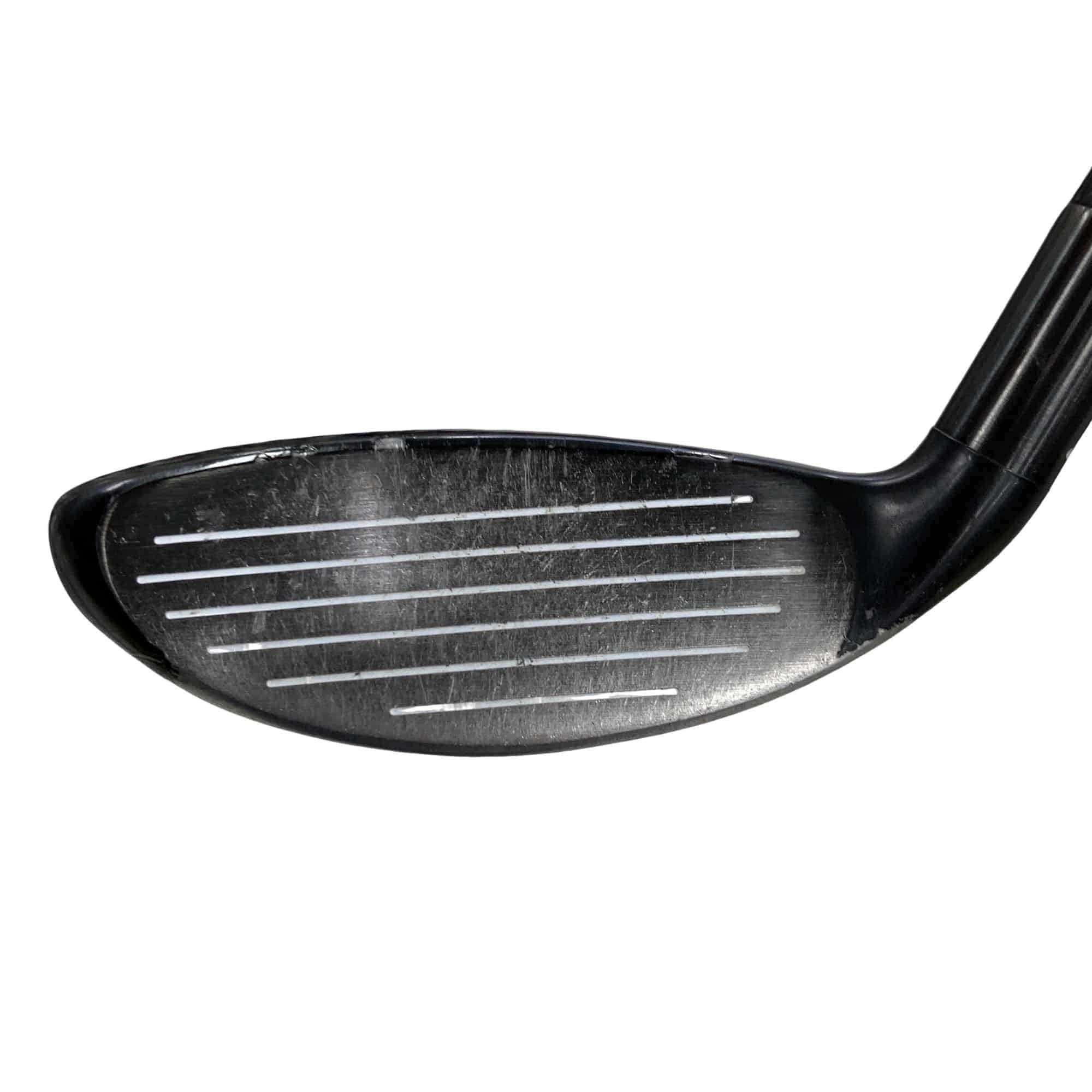 �w�@�g�n�s�@�t�S