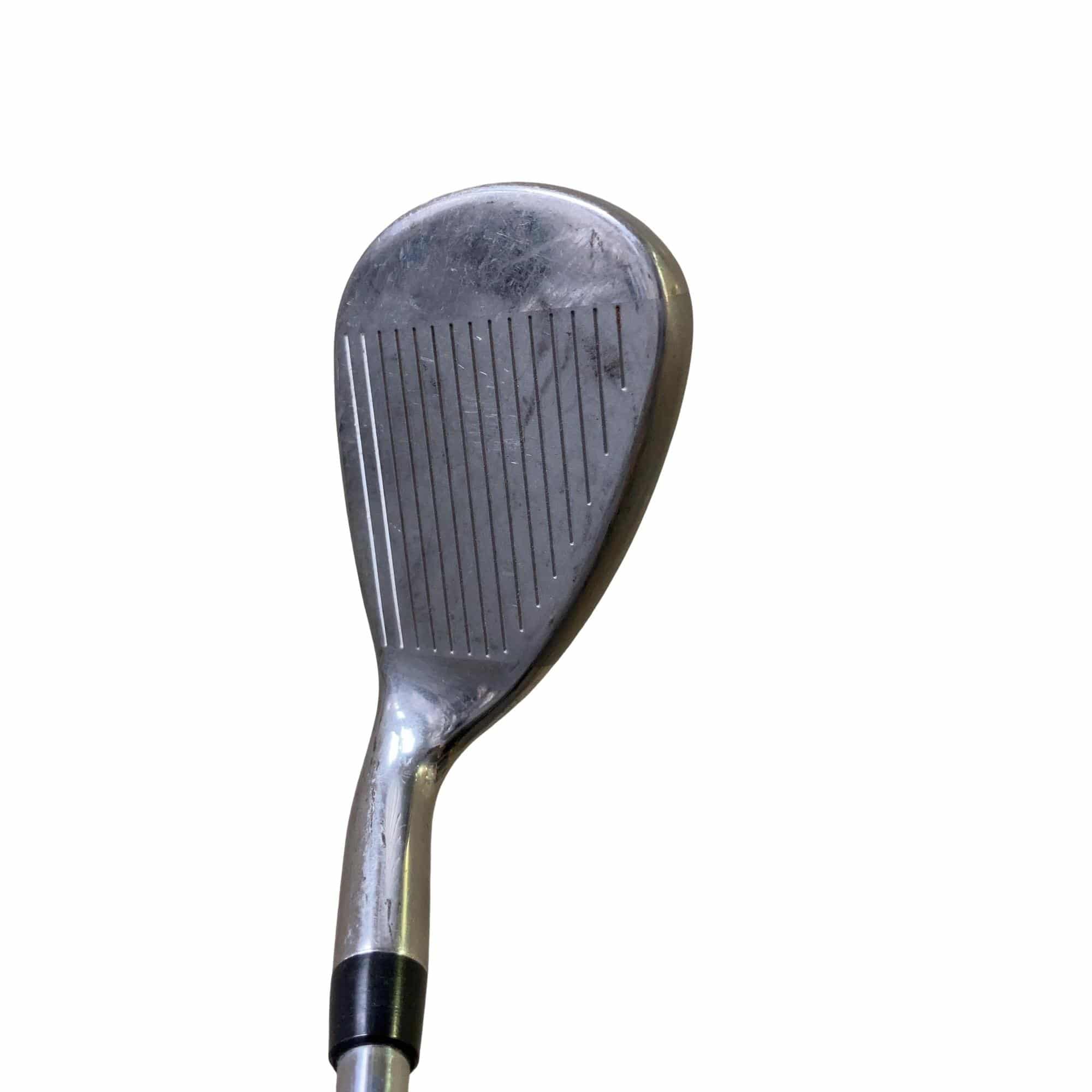 �w�@�g�n�s�@�r�v