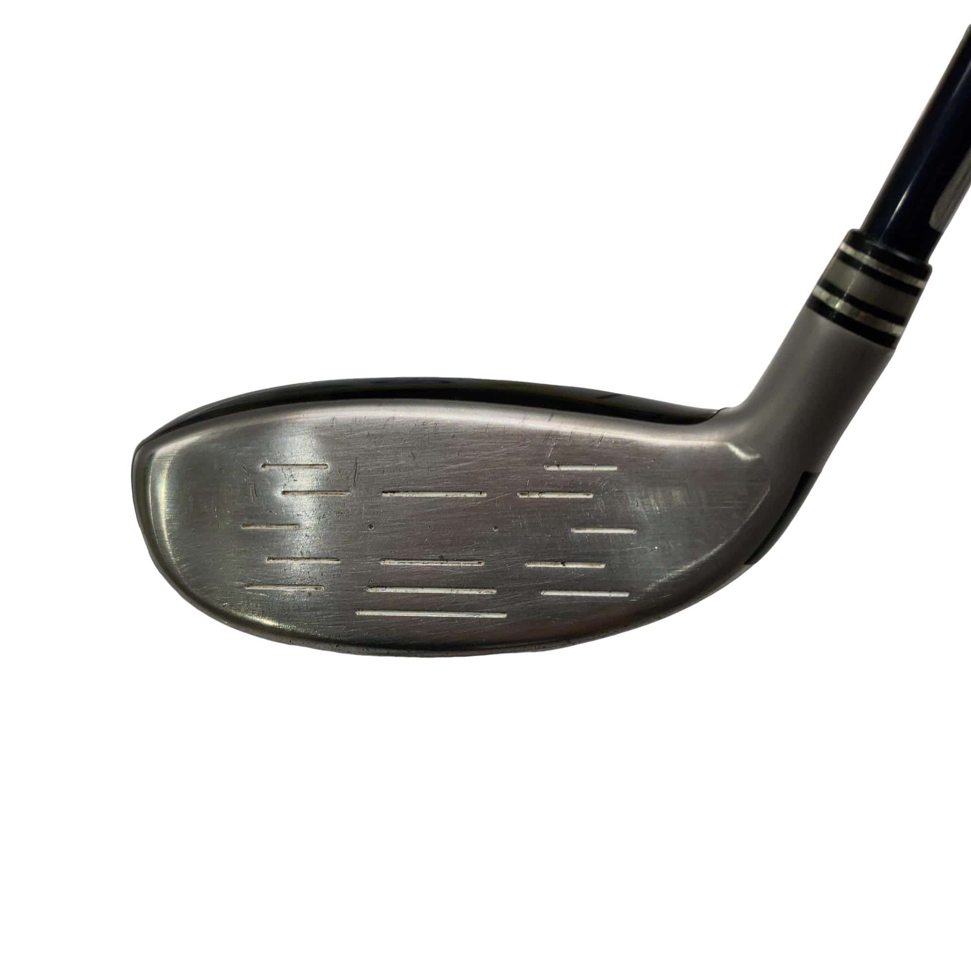 �w�w�h�n�i�Q�O�P�W�j�@�g�U