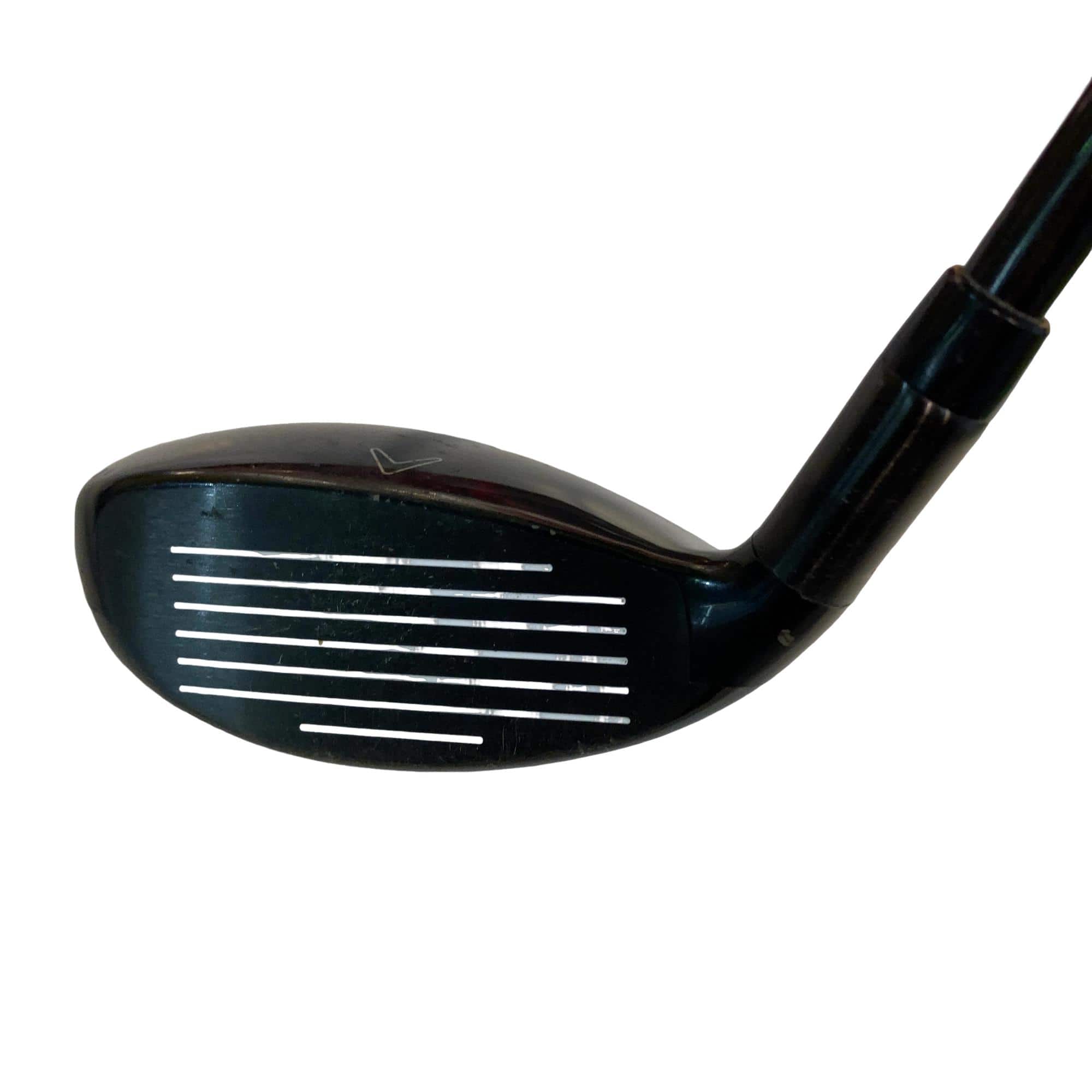 �w�Q�@�g�n�s�@�t�S