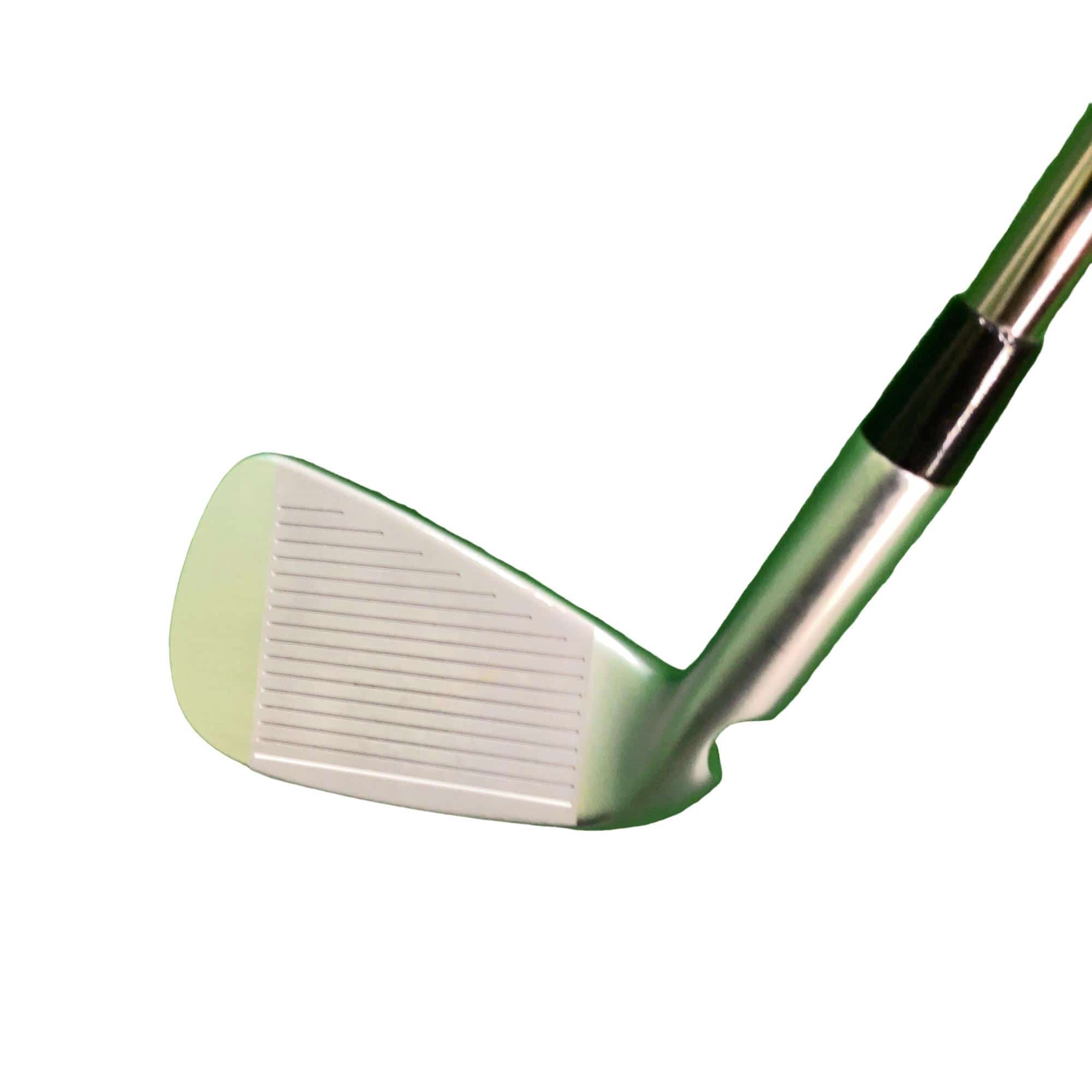 ���T�R�O�@�T�r�i���{���F�T�{�Z�b�g�j