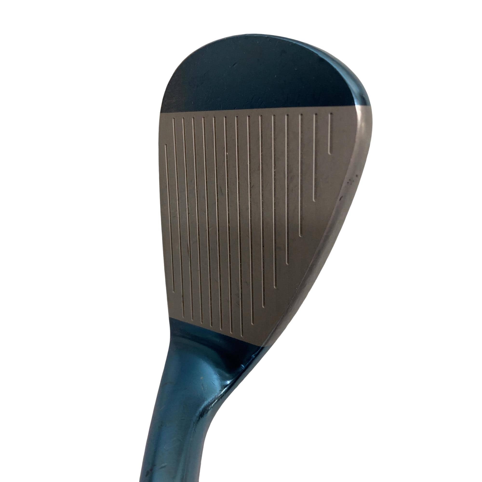 �l�����������@�s�Q�O�i�u���[�j�@�T�O°�^�O�V°