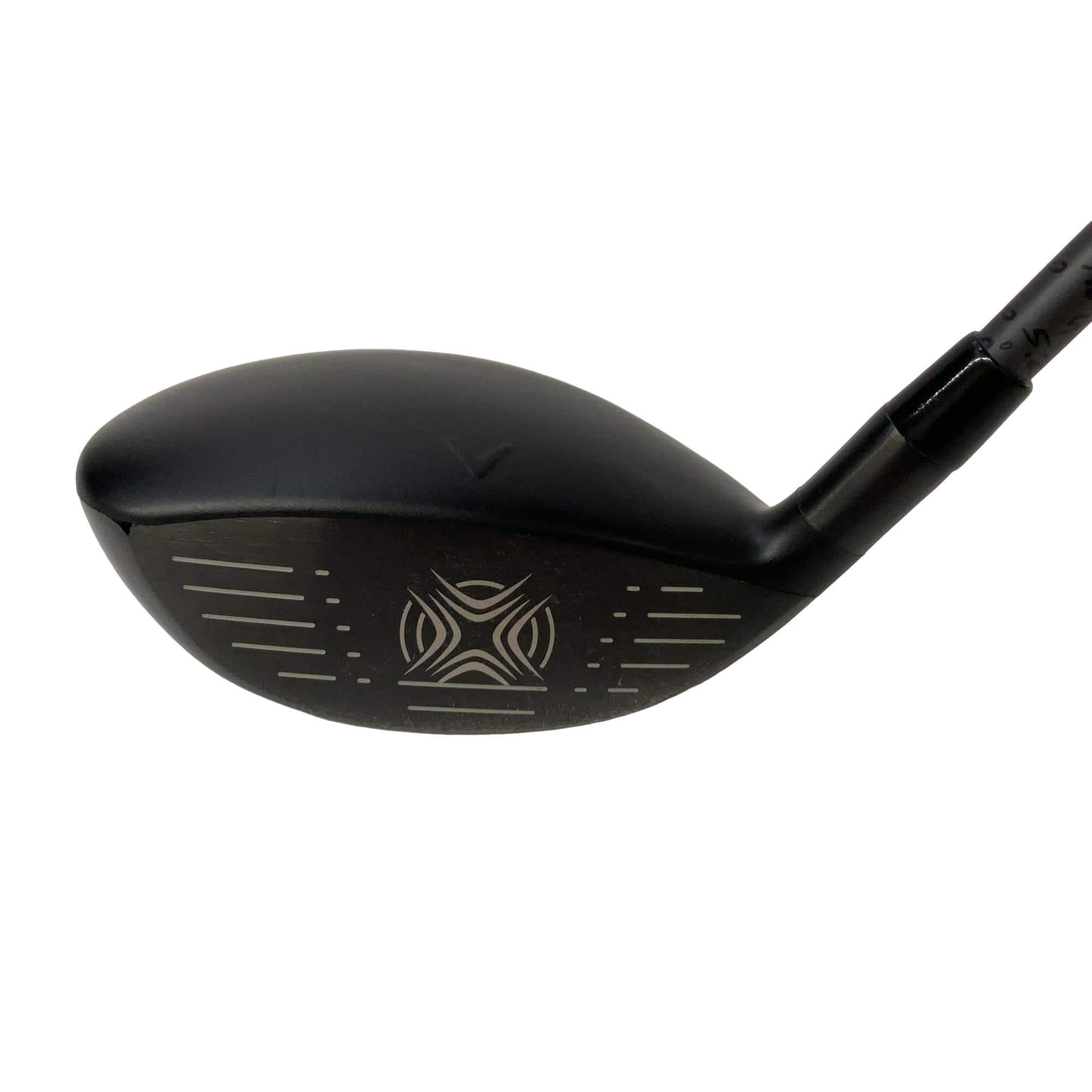 �w�q�@�@�R�v�@���f�B�[�X�@�t�r�`