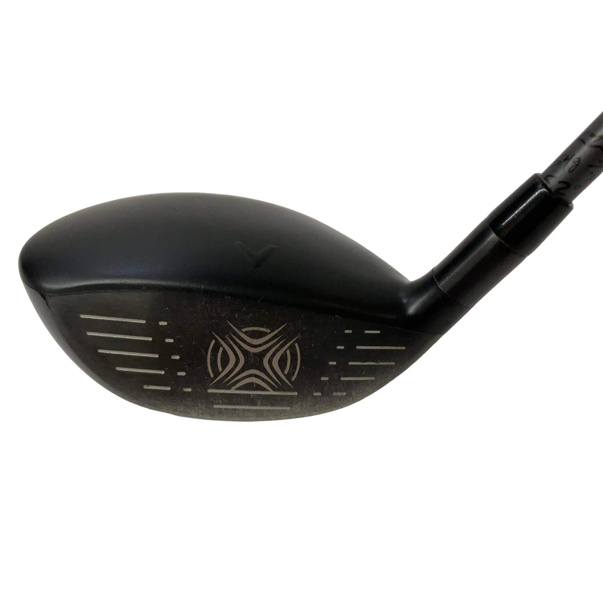 �w�q�@�@�T�v�@���f�B�[�X�@�t�r�`