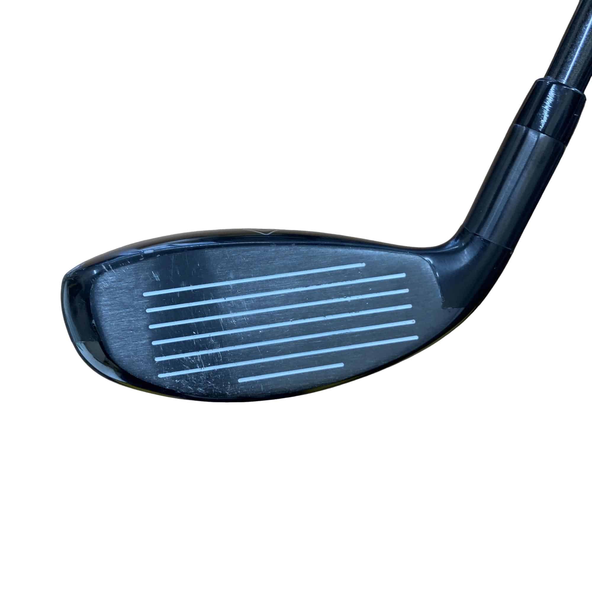 �w�Q�@�g�n�s�@�t�S