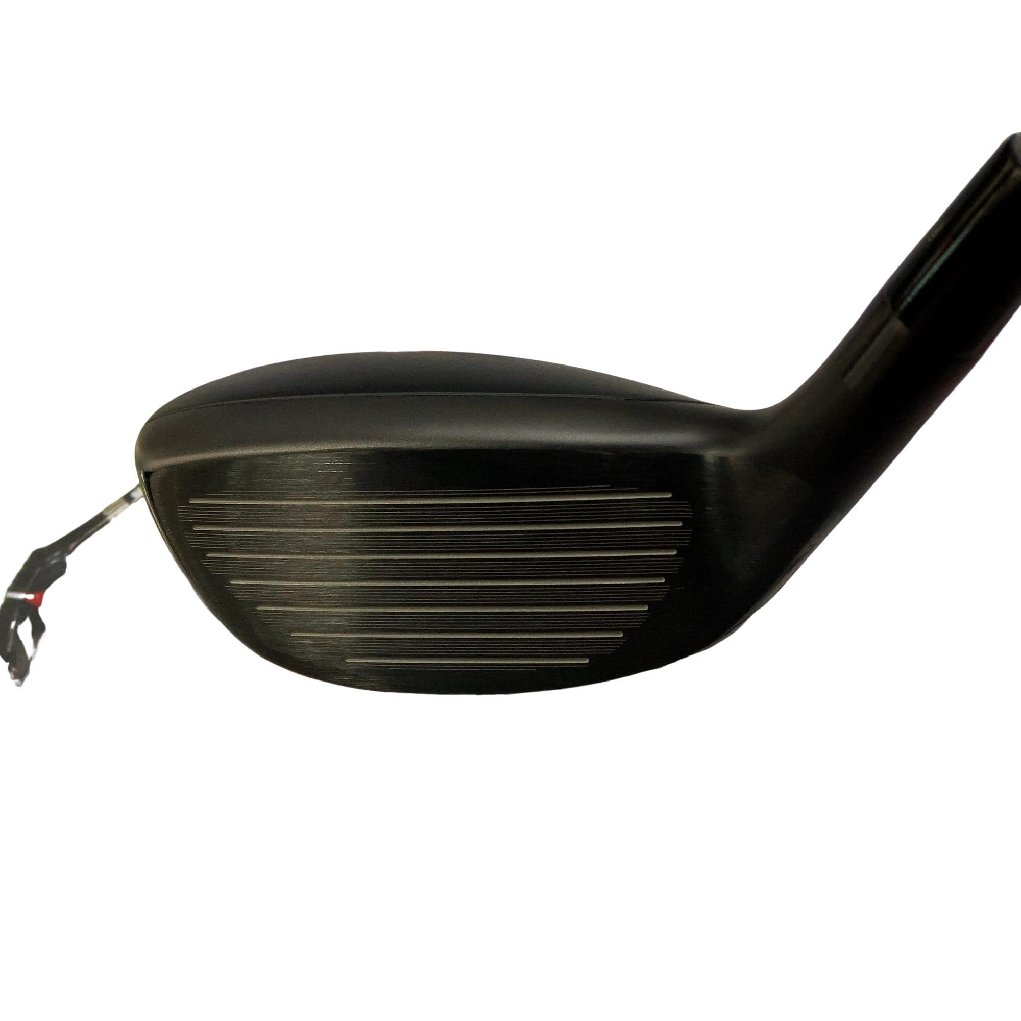 �n�m�n�e�e�@�t�s�h�k�h�s�x�@�v�h�m�f�r�i�Q�O�Q�S�j�@�j�t�q�n�@�t�T