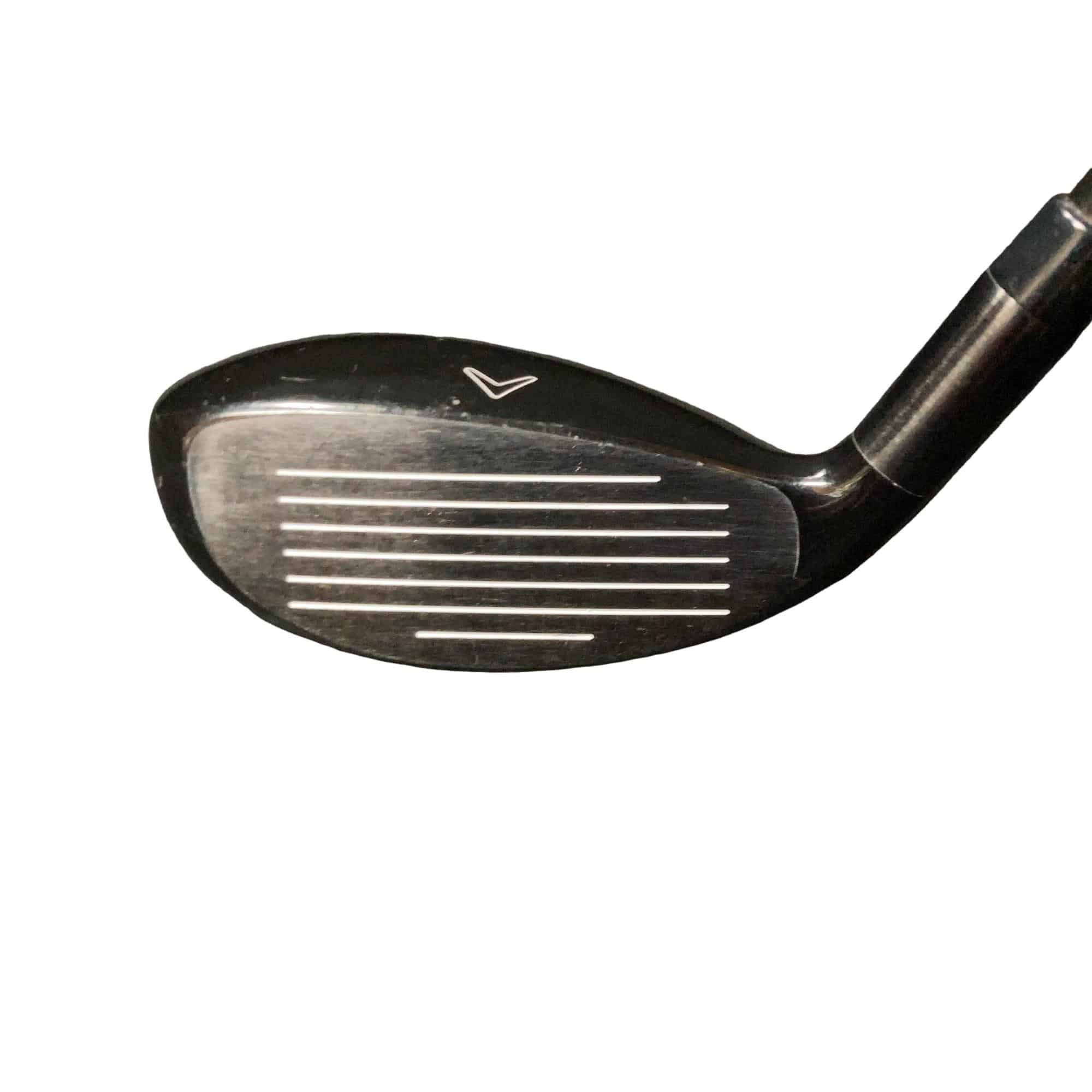 �w�Q�@�g�n�s�@�t�S