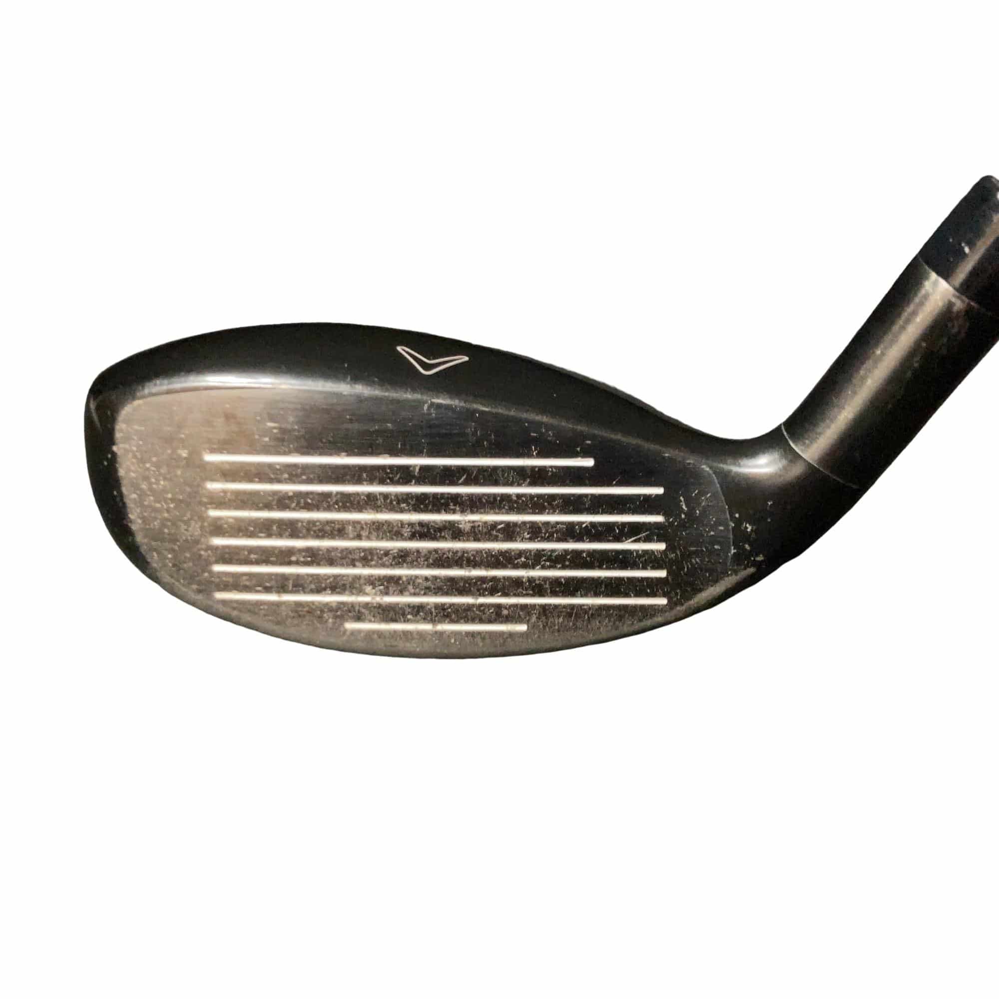 �w�Q�@�g�n�s�@�t�T