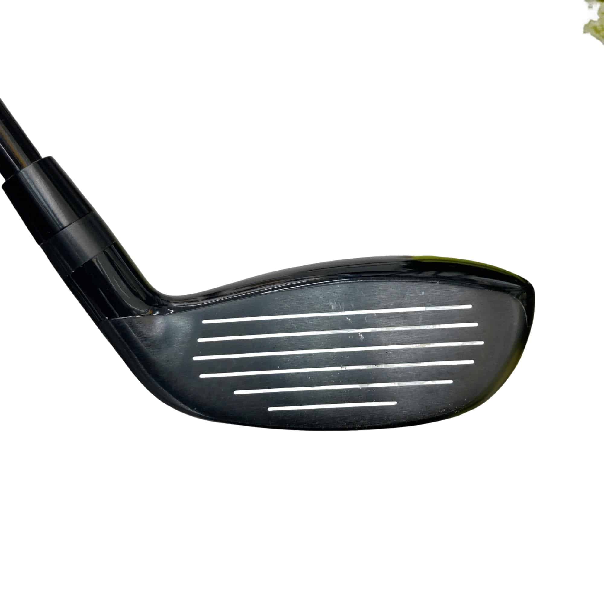 �l�����������@�o�����i�Q�O�P�X�j�@�t�S�@���t�e�B