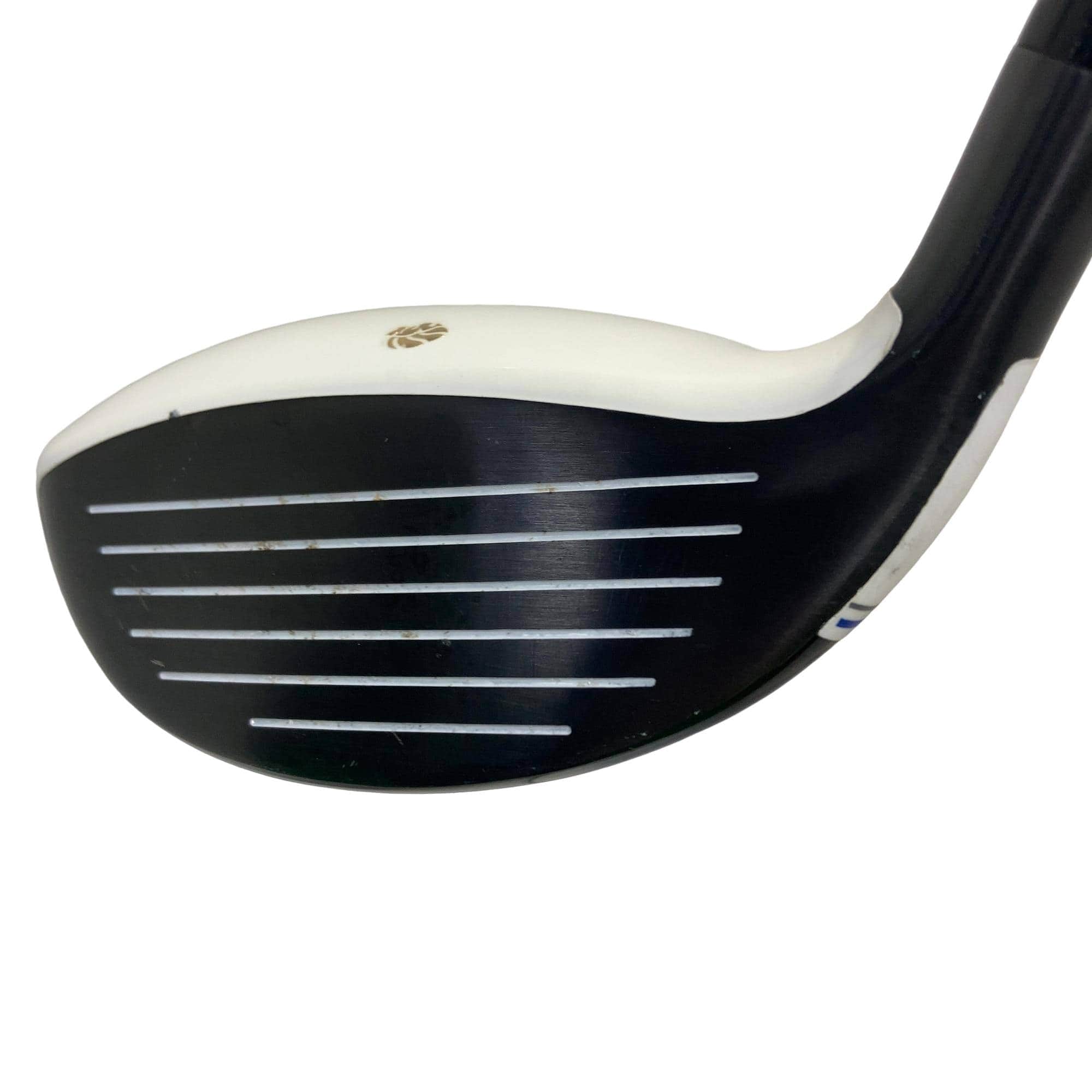 �f�k�n�h�q�d�@�e�i�Q�O�P�U�j�@�R�v