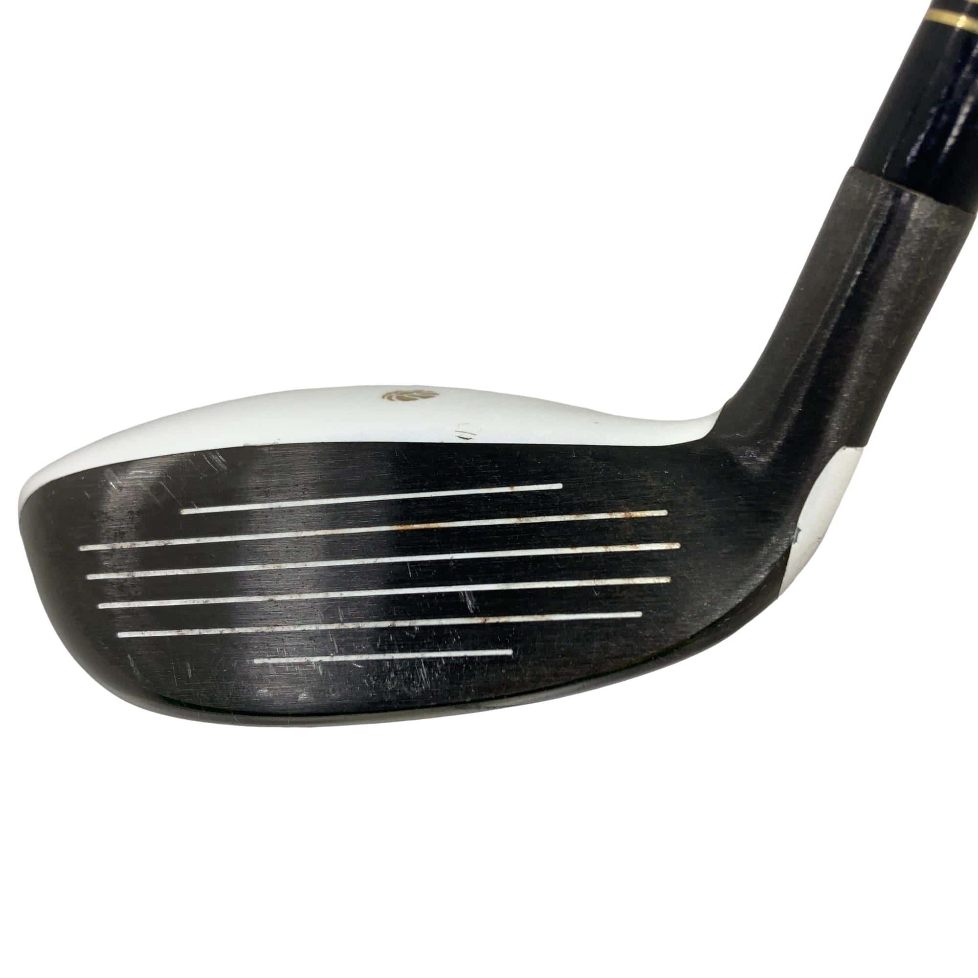 �f�k�n�h�q�d�@�f�@�t�T